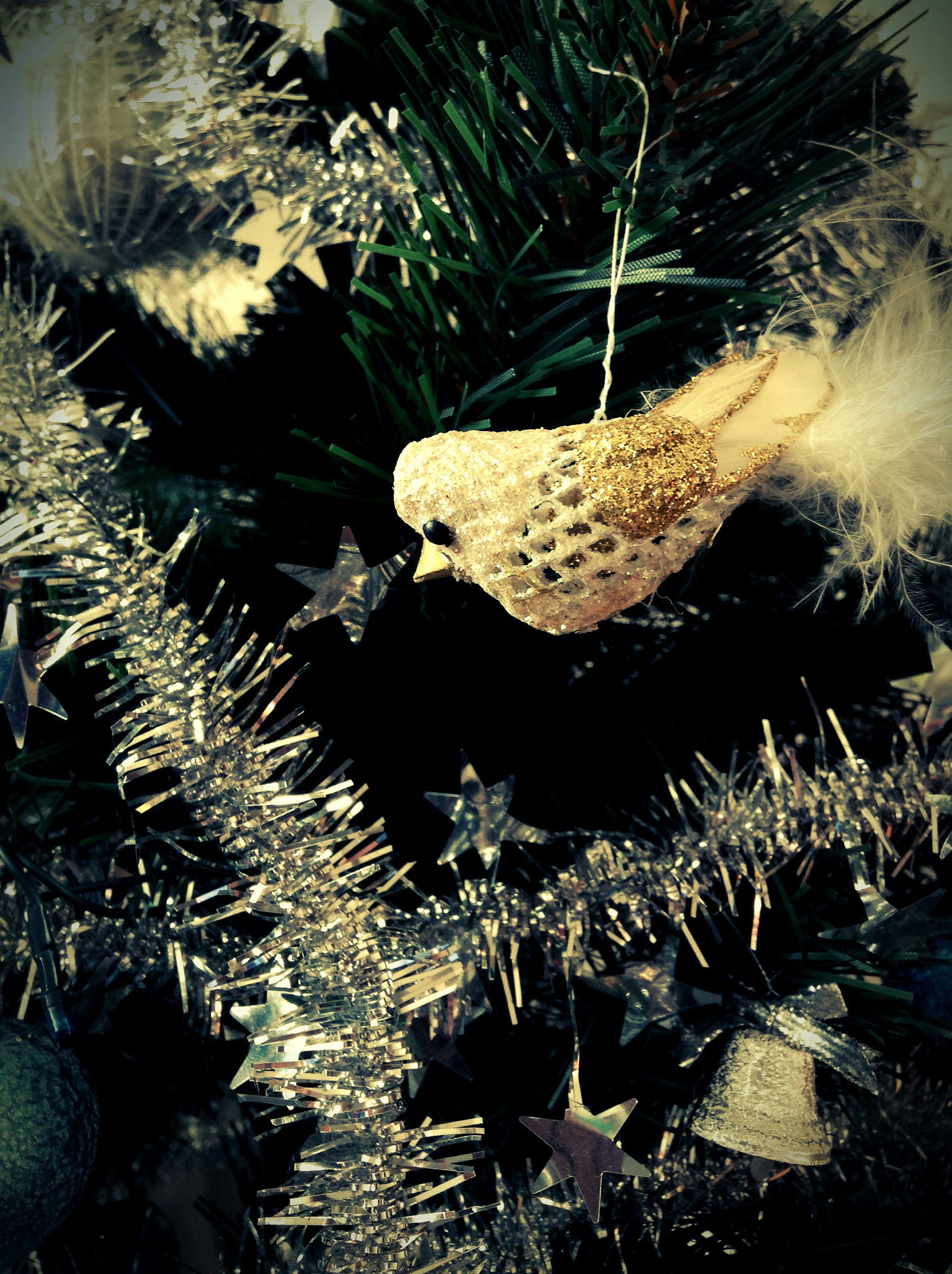Blux Touch Blux Camera V1.1 sample photo. Christmas decoration photography
