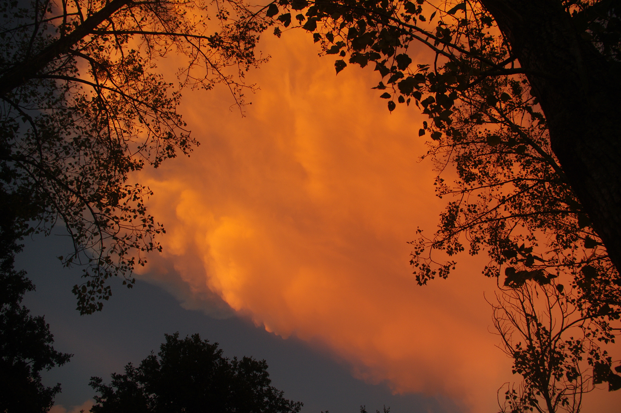 smc PENTAX-DA L 18-55mm F3.5-5.6 sample photo. Sunset in la boissiere de montaigu  france photography