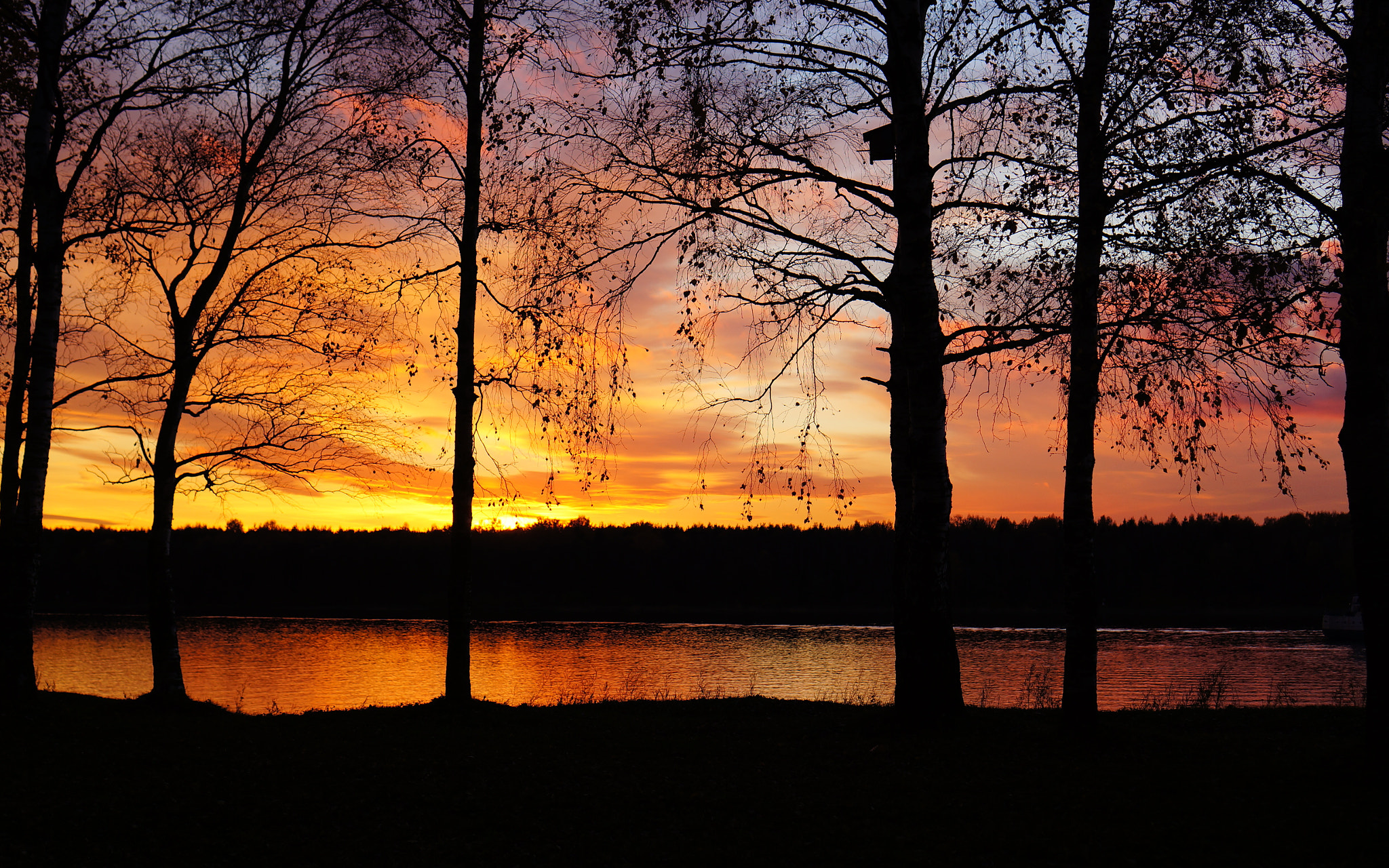 Sony Alpha NEX-5N + Sony E 35mm F1.8 OSS sample photo. Sunset. photography