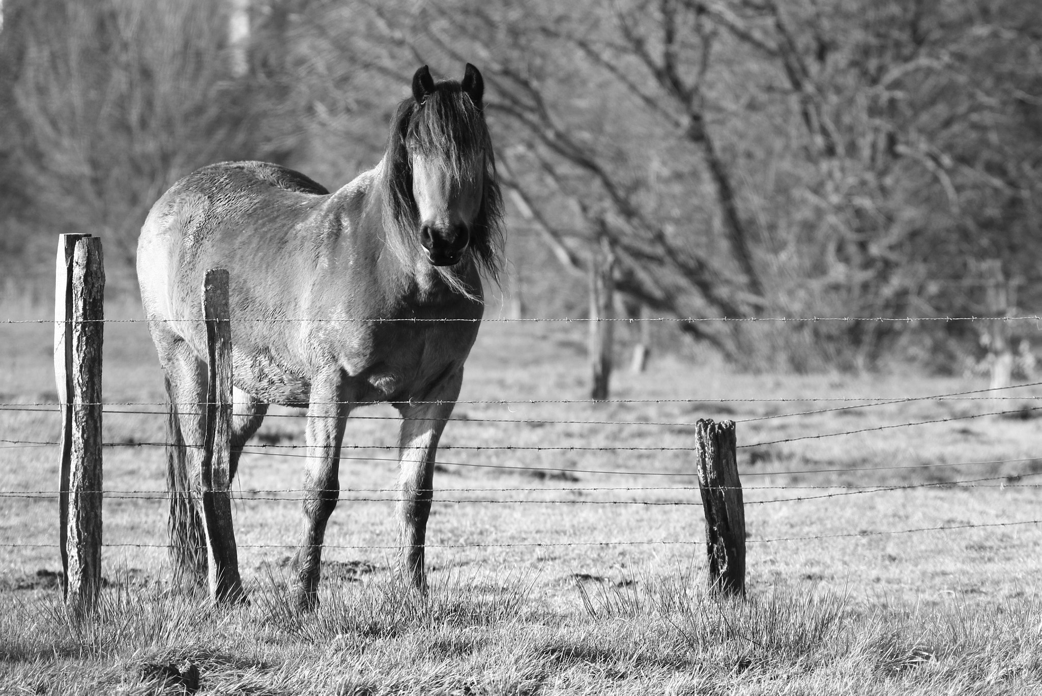 Canon EF 70-300mm F4-5.6L IS USM sample photo. Need help ! photography