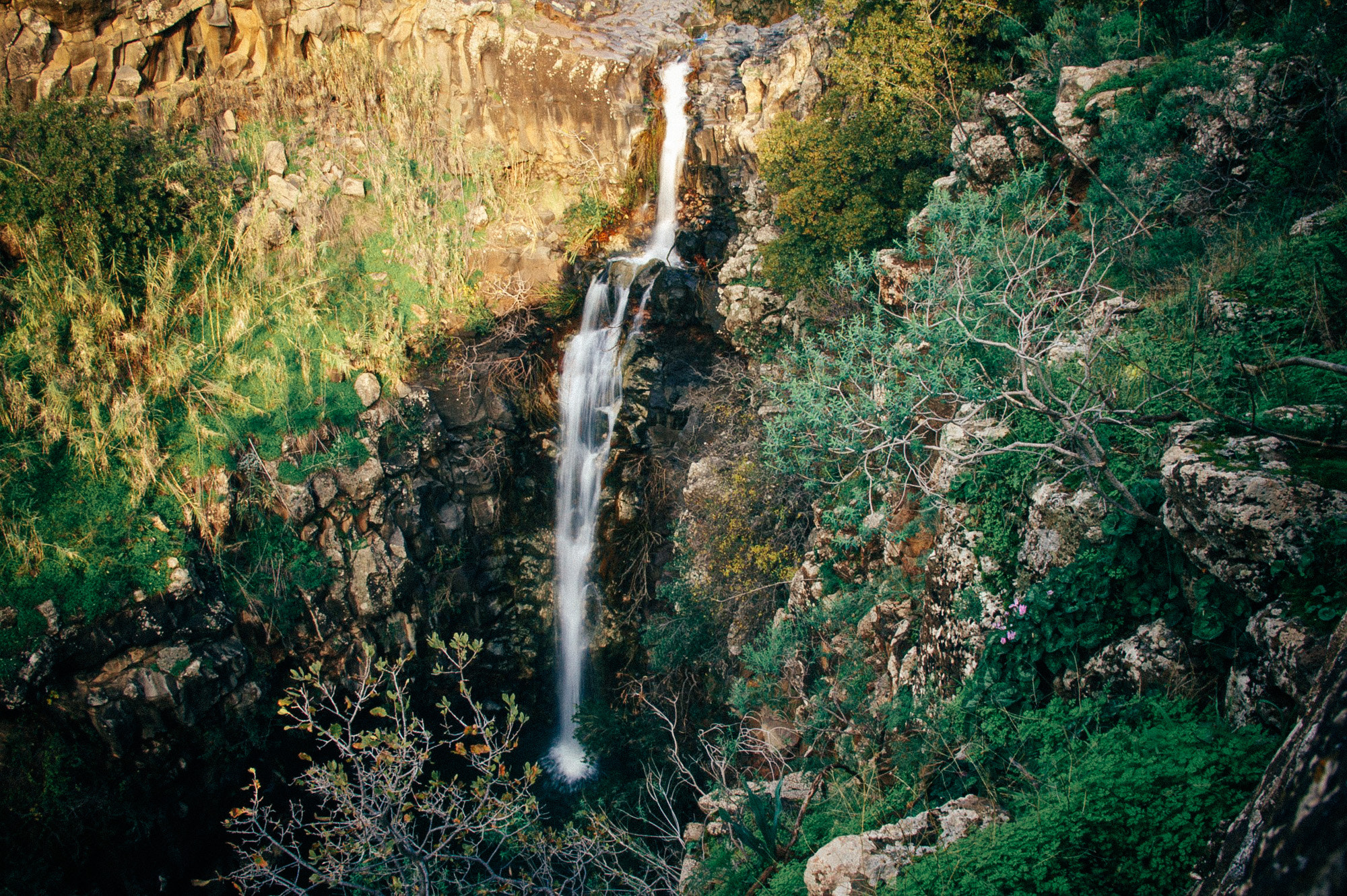 Sony Alpha NEX-5 + Sigma 19mm F2.8 EX DN sample photo. Waterfall photography