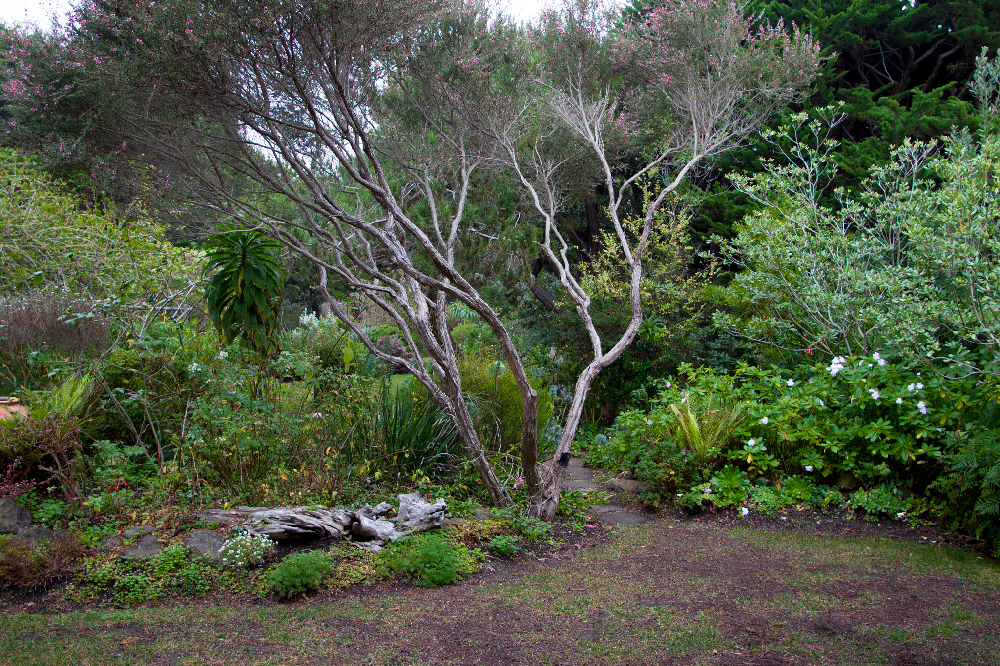 Canon EF 20-35mm F3.5-4.5 USM sample photo. Hastings house gardens photography