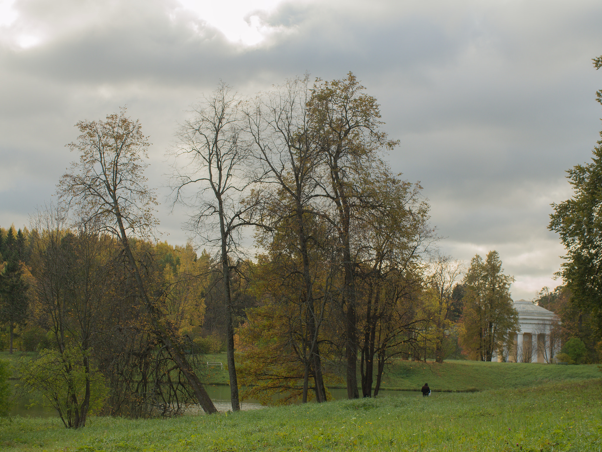 Panasonic Leica D Vario-Elmarit 14-50mm F2.8-3.5 ASPH Mega OIS sample photo. Olympus digital camera photography