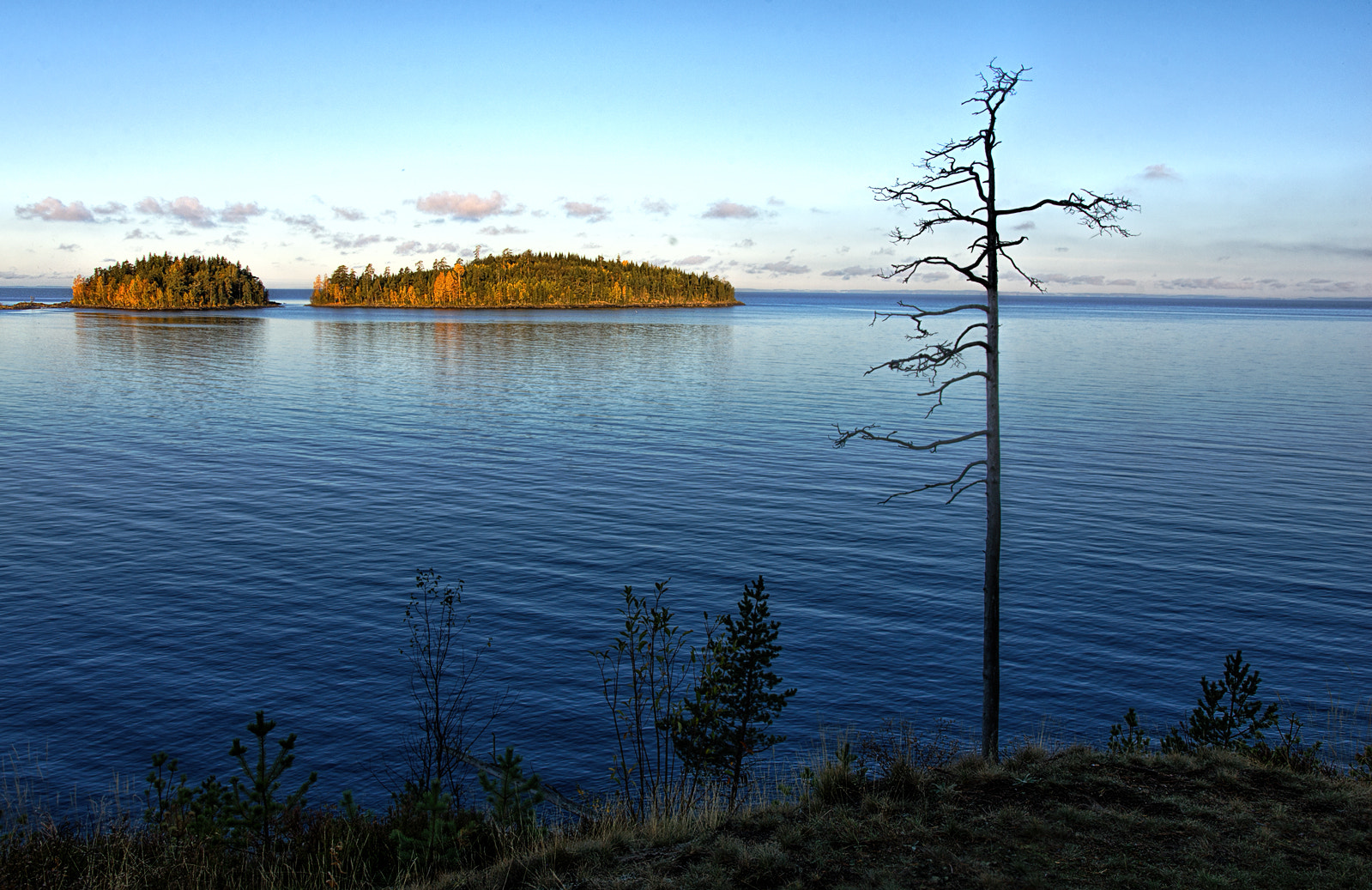 Pentax K-5 + Sigma 18-35mm F1.8 DC HSM Art sample photo. Autumn in the valaam islands..._45_ photography