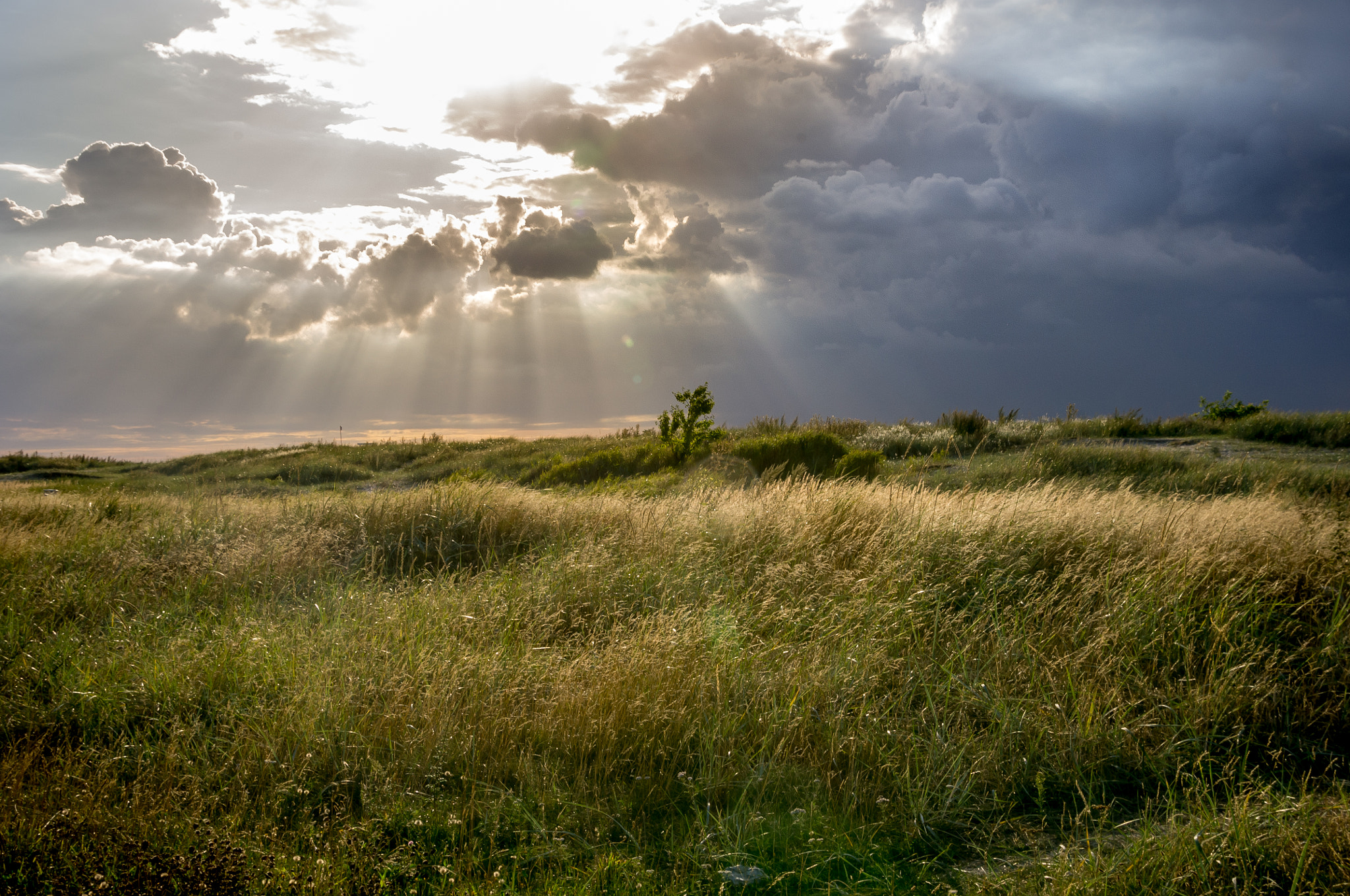 Pentax K-r + Sigma 18-200mm F3.5-6.3 II DC OS HSM sample photo. Cloudy sky in malmö photography