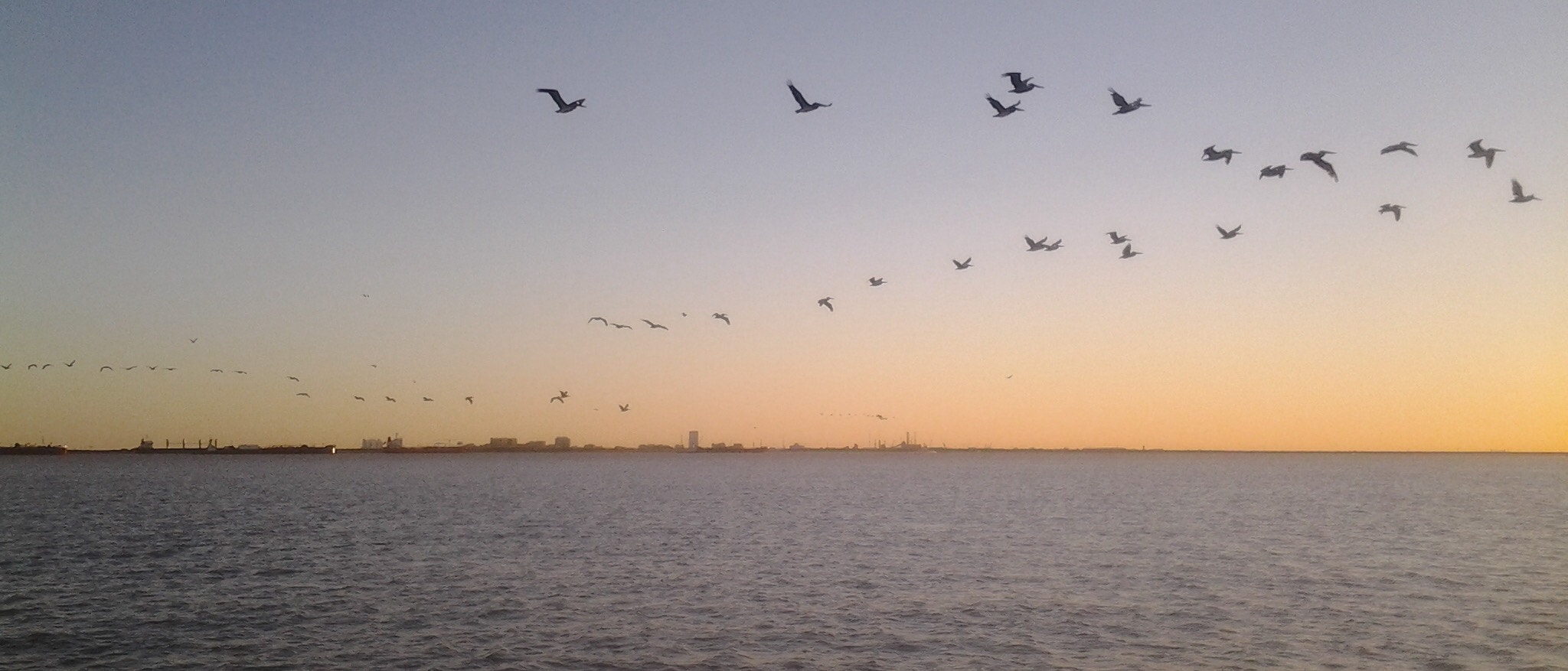 Samsung Galaxy Discover sample photo. A pelican ballet at sunset. photography