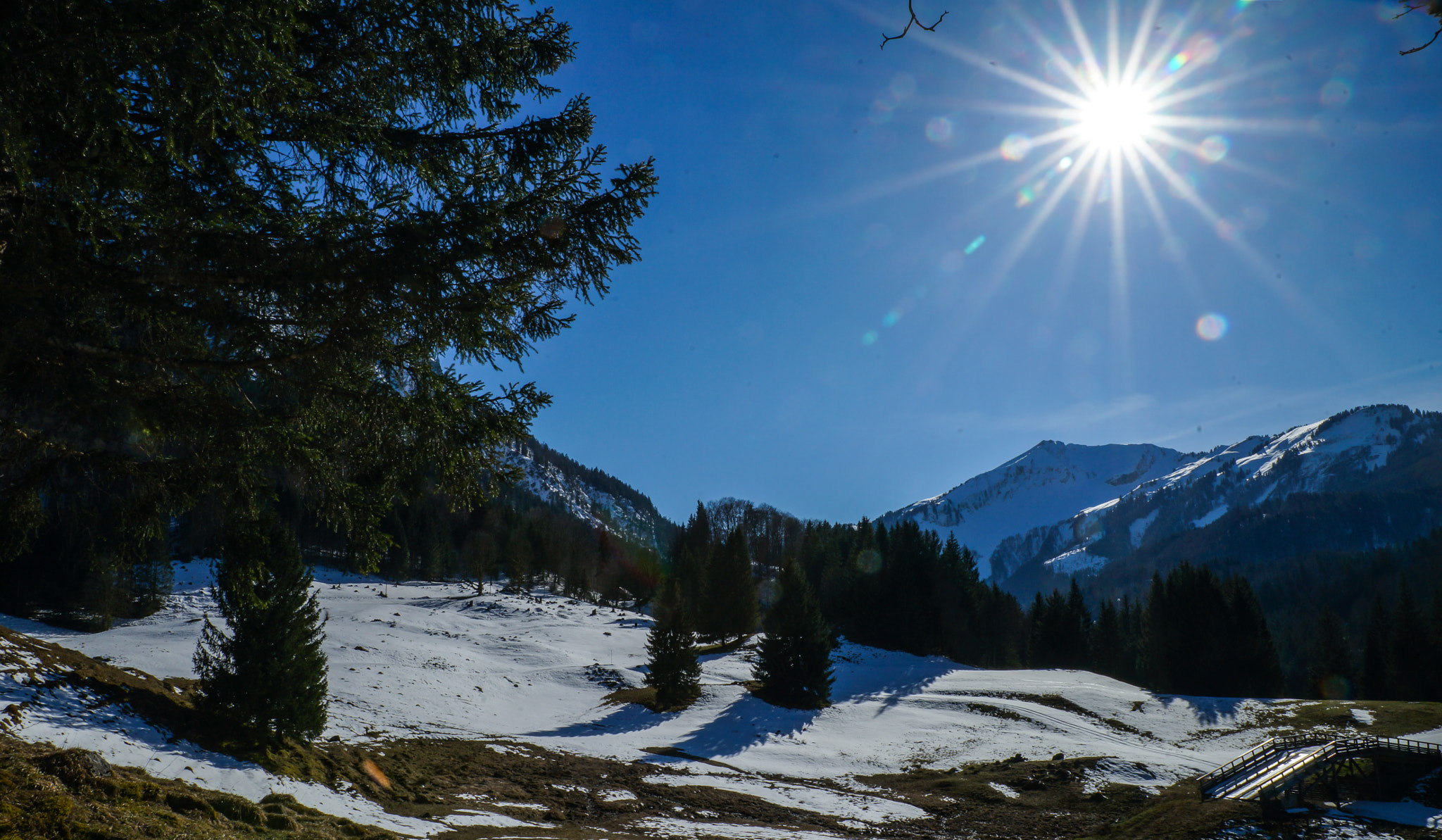 Sony a99 II + 24-70mm F2.8-2.8 SSM sample photo. Sun and snow photography