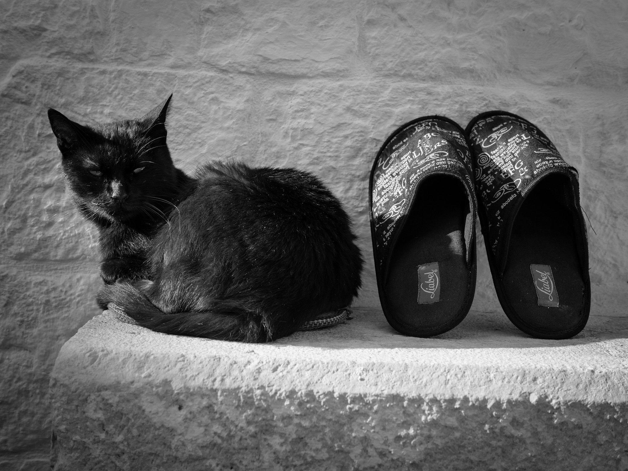 Olympus PEN E-P5 + Panasonic Leica DG Summilux 25mm F1.4 II ASPH sample photo. The cat with slippers photography