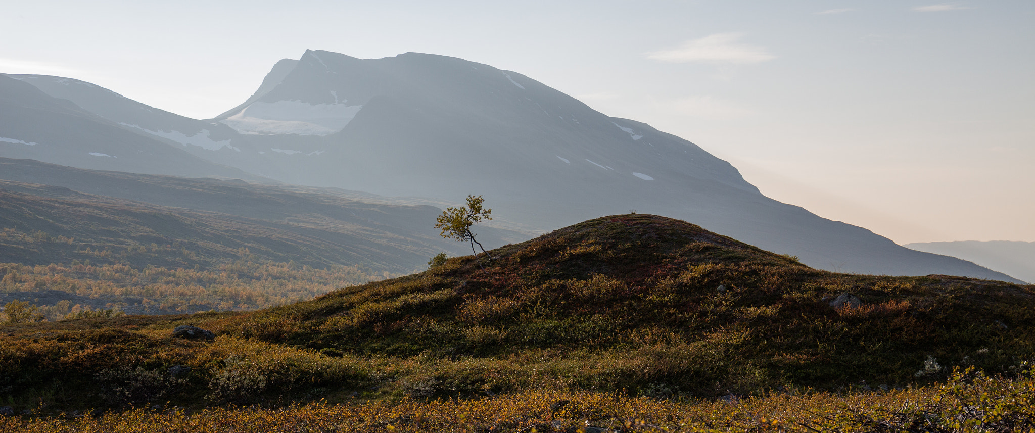 Canon EOS 700D (EOS Rebel T5i / EOS Kiss X7i) + Canon EF 16-35mm F4L IS USM sample photo. Väikesuur / smallbig photography
