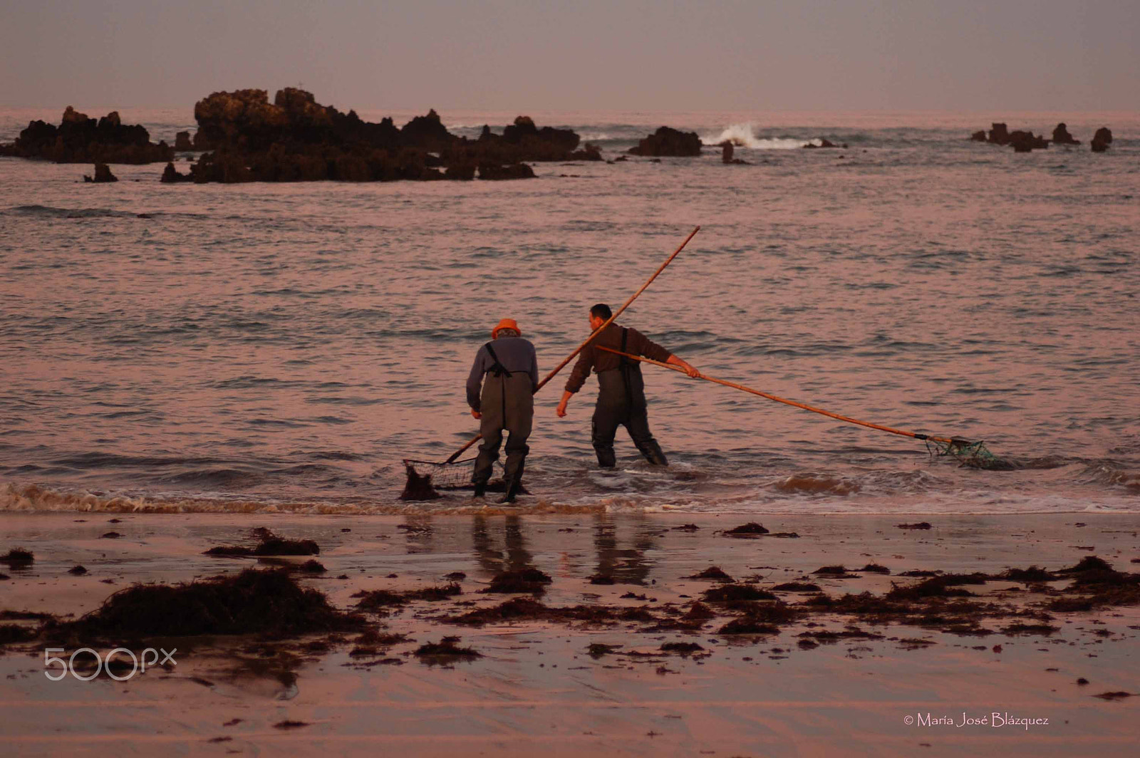 Nikon D40 sample photo. Collecting the seaweed photography
