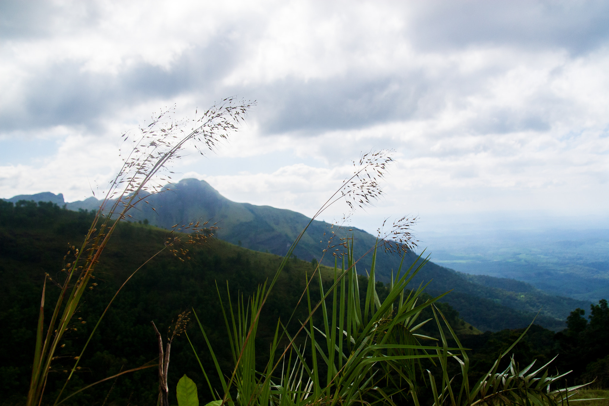 Sigma 17-70mm F2.8-4 DC Macro OS HSM sample photo. Ponmudi hills, kerala photography