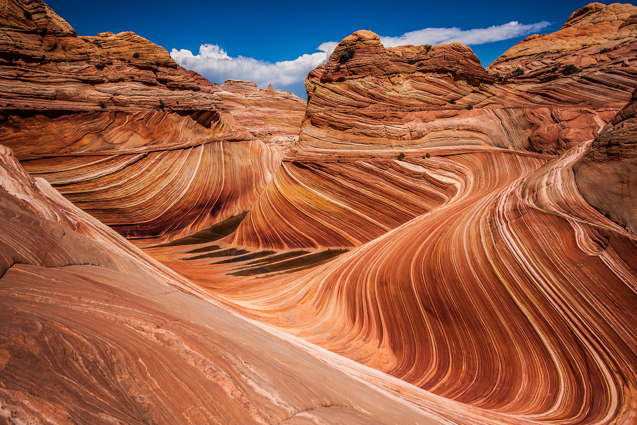 Canon EF-S 10-18mm F4.5–5.6 IS STM sample photo. The wave photography