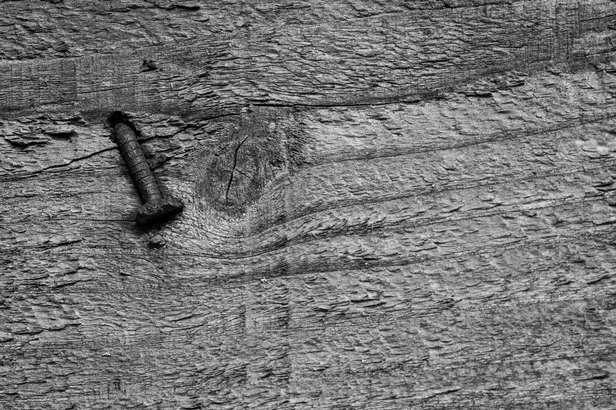 Canon EOS 600D (Rebel EOS T3i / EOS Kiss X5) + Sigma 105mm F2.8 EX DG Macro sample photo. Nail...knot photography