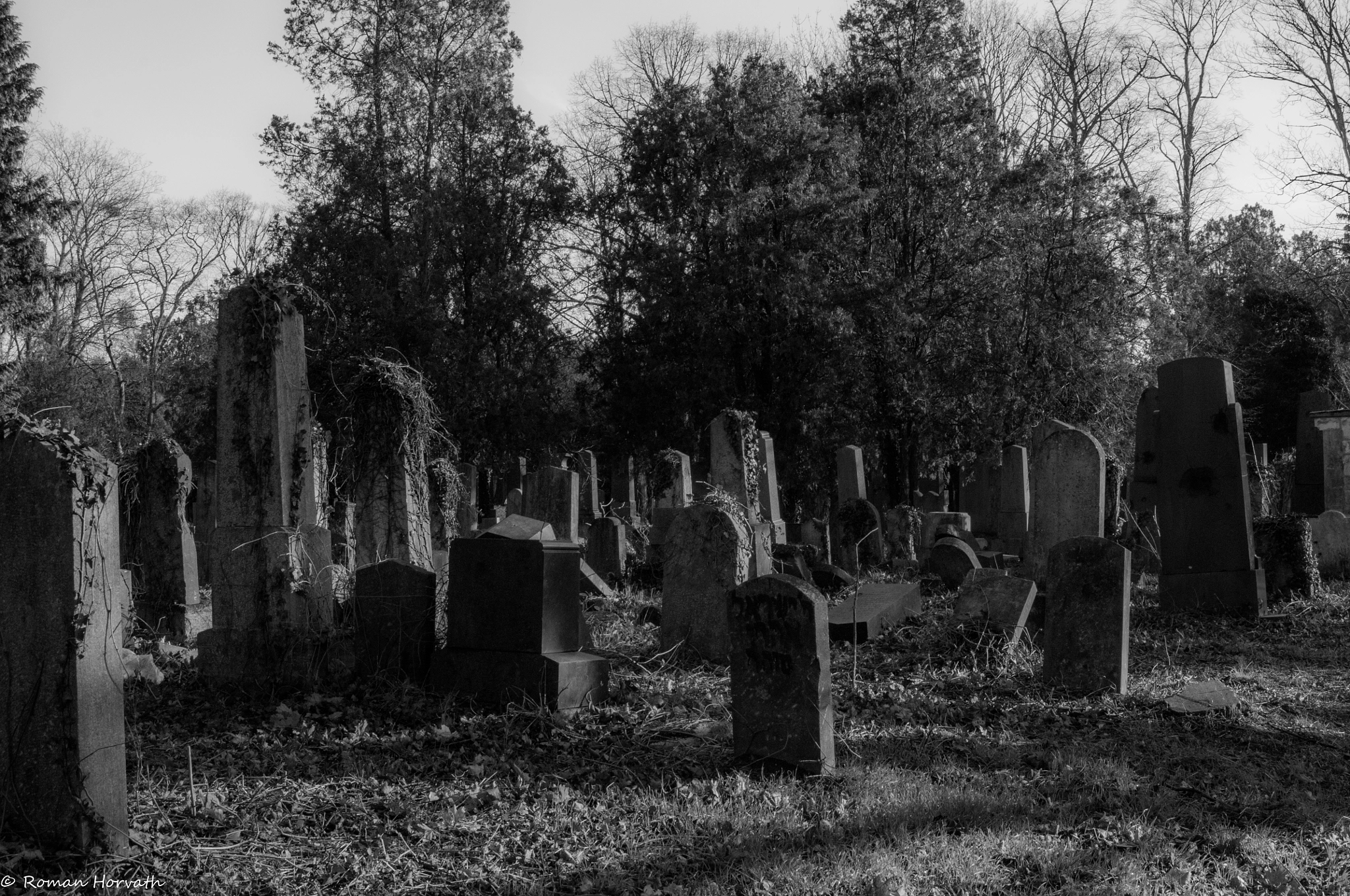 AF Zoom-Nikkor 28-70mm f/3.5-4.5D sample photo. Alter jüdischer friedhof photography