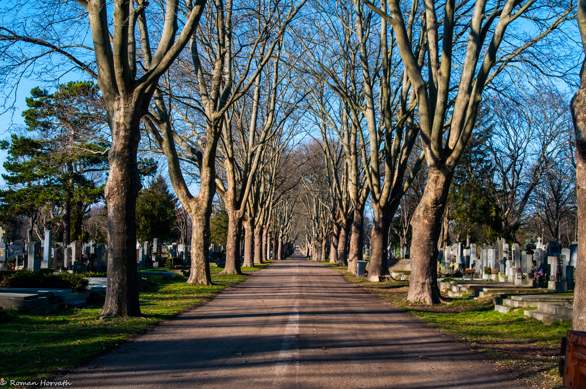 AF Zoom-Nikkor 28-70mm f/3.5-4.5D sample photo. Wiener zentralfriedhof photography