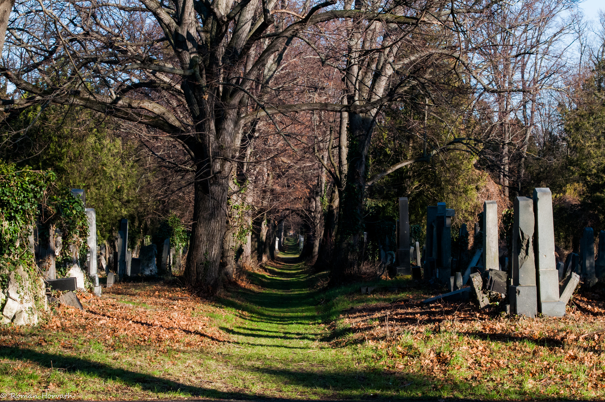 Nikon D300 + AF Zoom-Nikkor 28-70mm f/3.5-4.5D sample photo. Wiener zentralfriedhof photography