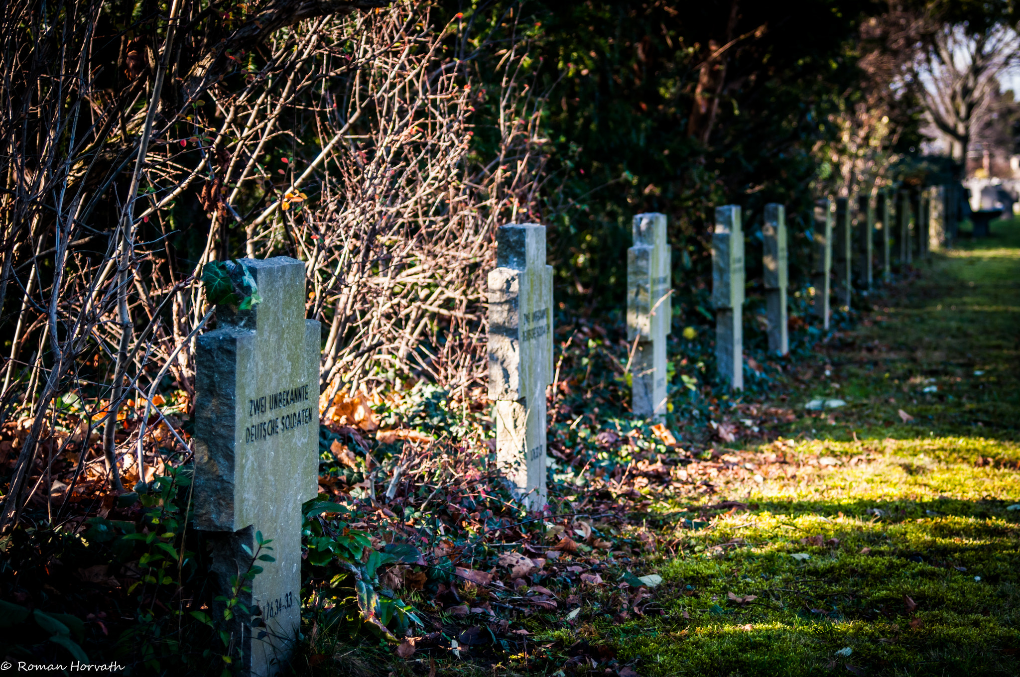 Nikon D300 + AF Zoom-Nikkor 28-70mm f/3.5-4.5D sample photo. Unknown german soldiers photography