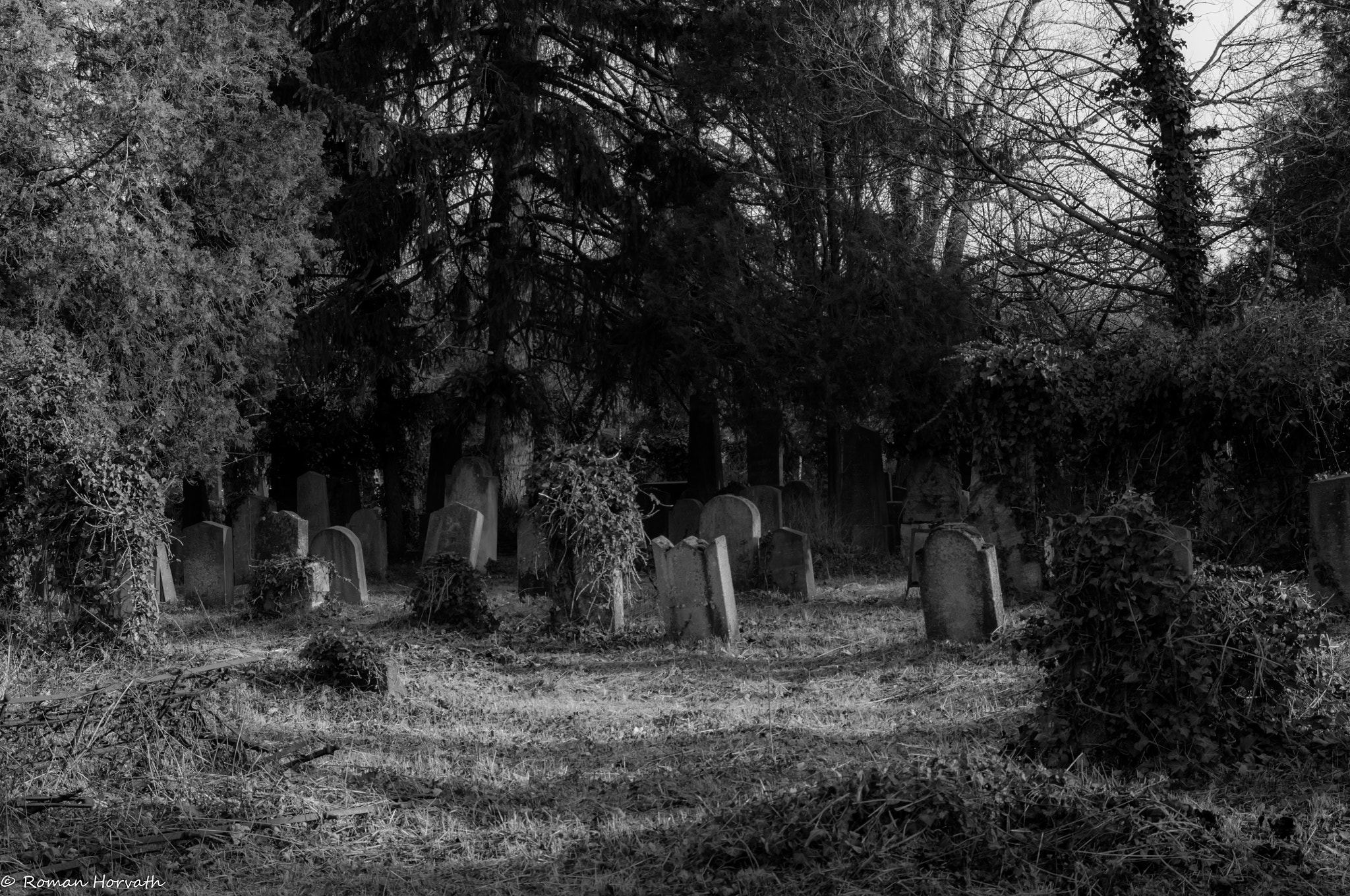 AF Zoom-Nikkor 28-70mm f/3.5-4.5D sample photo. Alter jüdischer friedhof photography