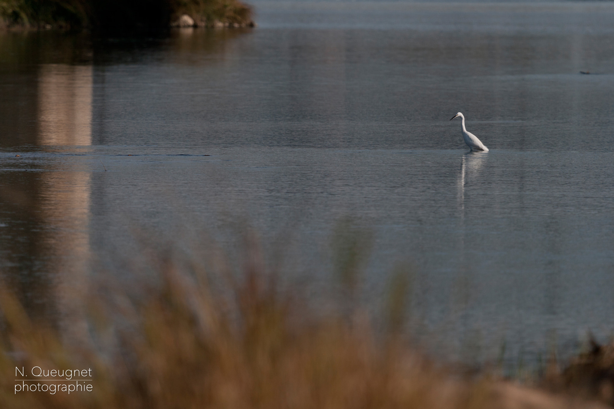 Canon EF 100-400mm F4.5-5.6L IS USM sample photo. Les pattes dans l'eau à sully... photography