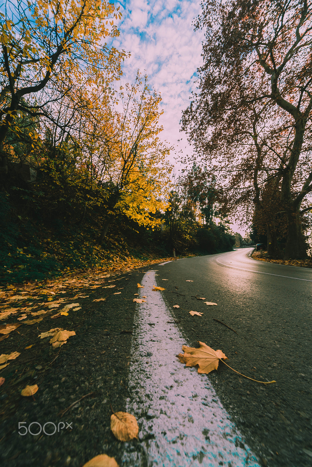 Sigma 12-24mm F4.5-5.6 EX DG Aspherical HSM sample photo. Autumn tells the grounding sheet photography