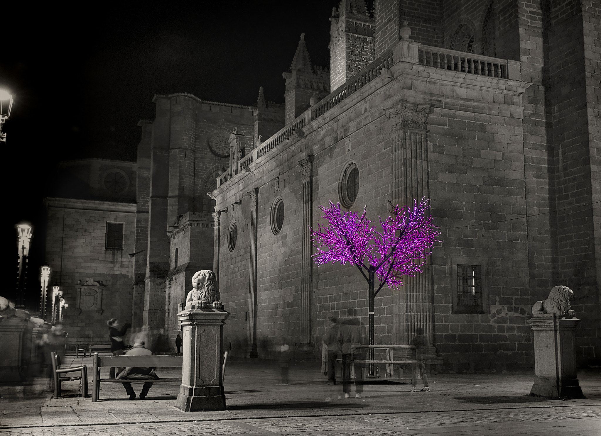 Olympus PEN E-PL1 sample photo. Catedral 15 photography