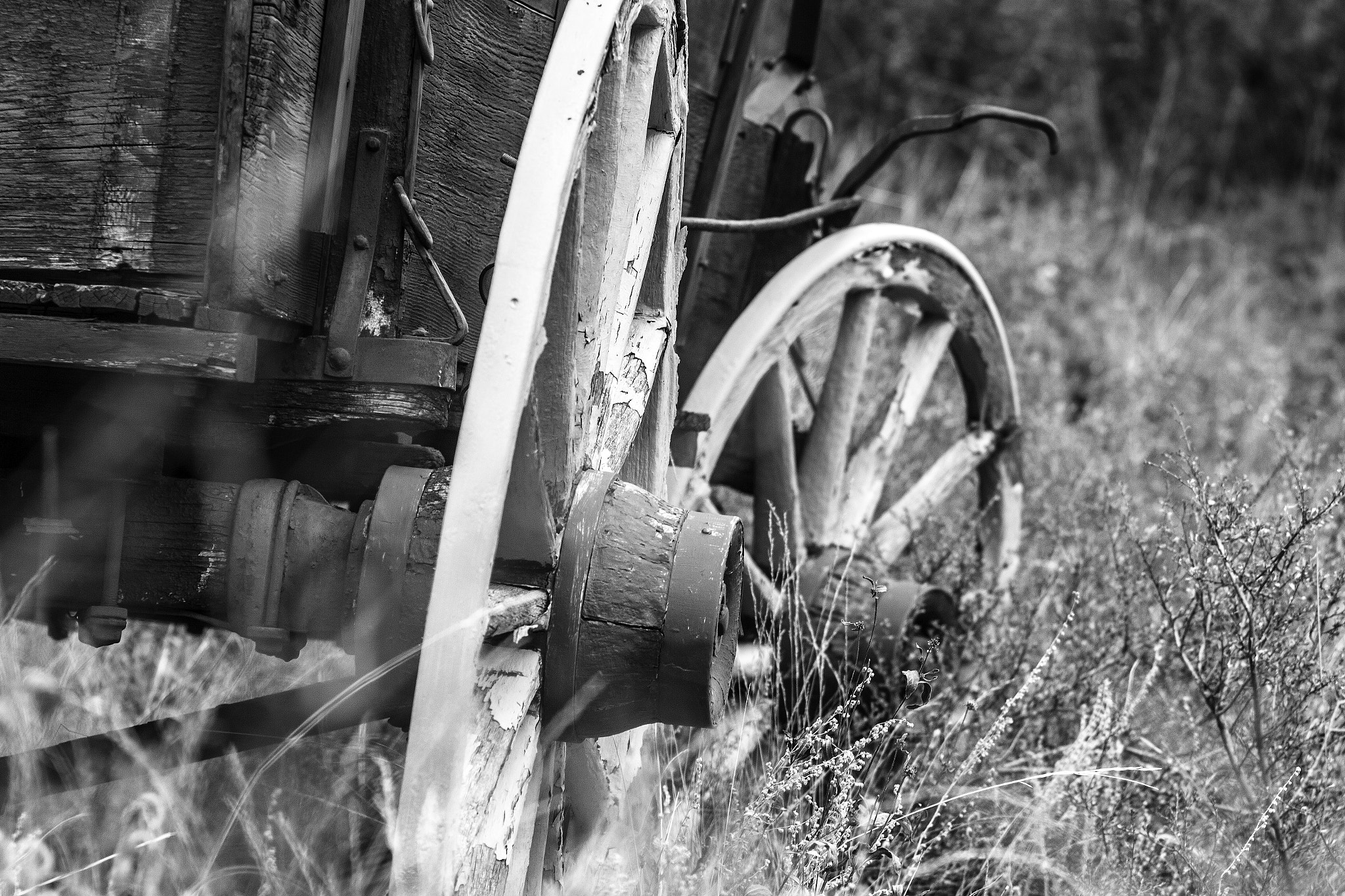 Canon EF 35-80mm f/4-5.6 sample photo. Wagonwheel photography
