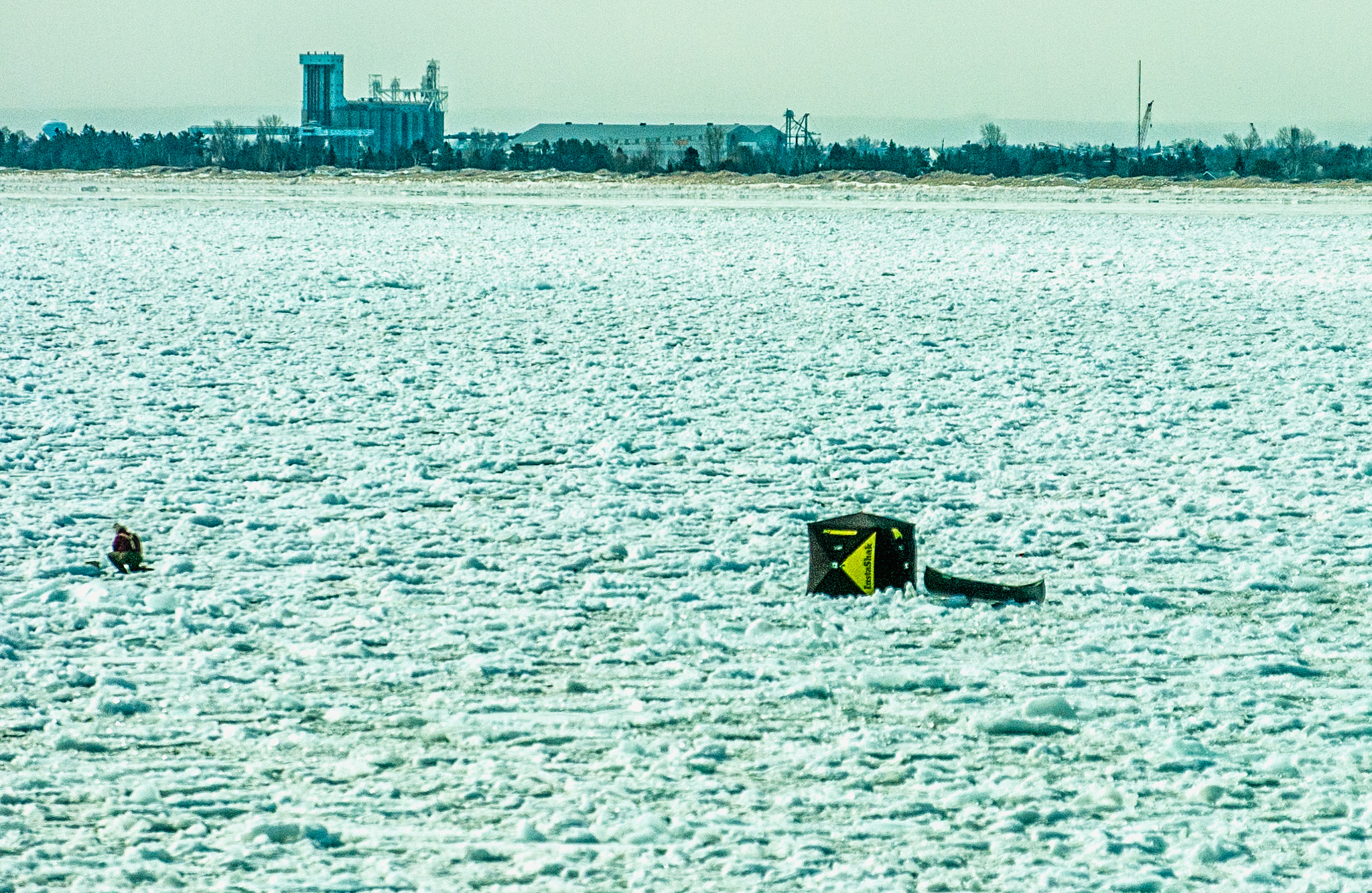 Nikon D2H + Nikon AF-S Nikkor 70-200mm F2.8G ED VR sample photo. Catching dinner photography