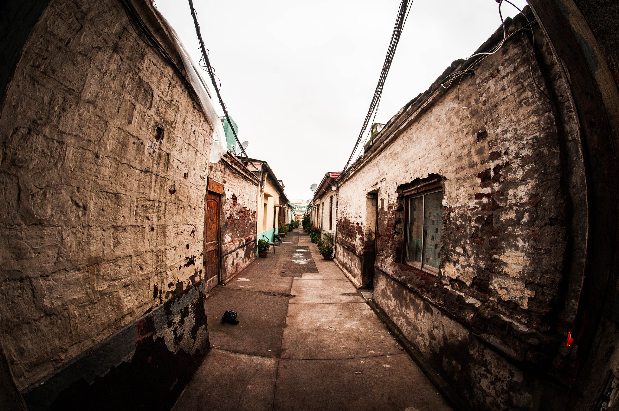Nikon D300 + Samyang 8mm F3.5 Aspherical IF MC Fisheye sample photo. _fge7866.jpg photography