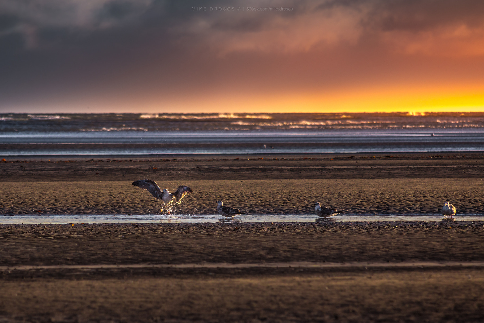 Canon EF 35-350mm F3.5-5.6L USM sample photo. Crack of dawn photography