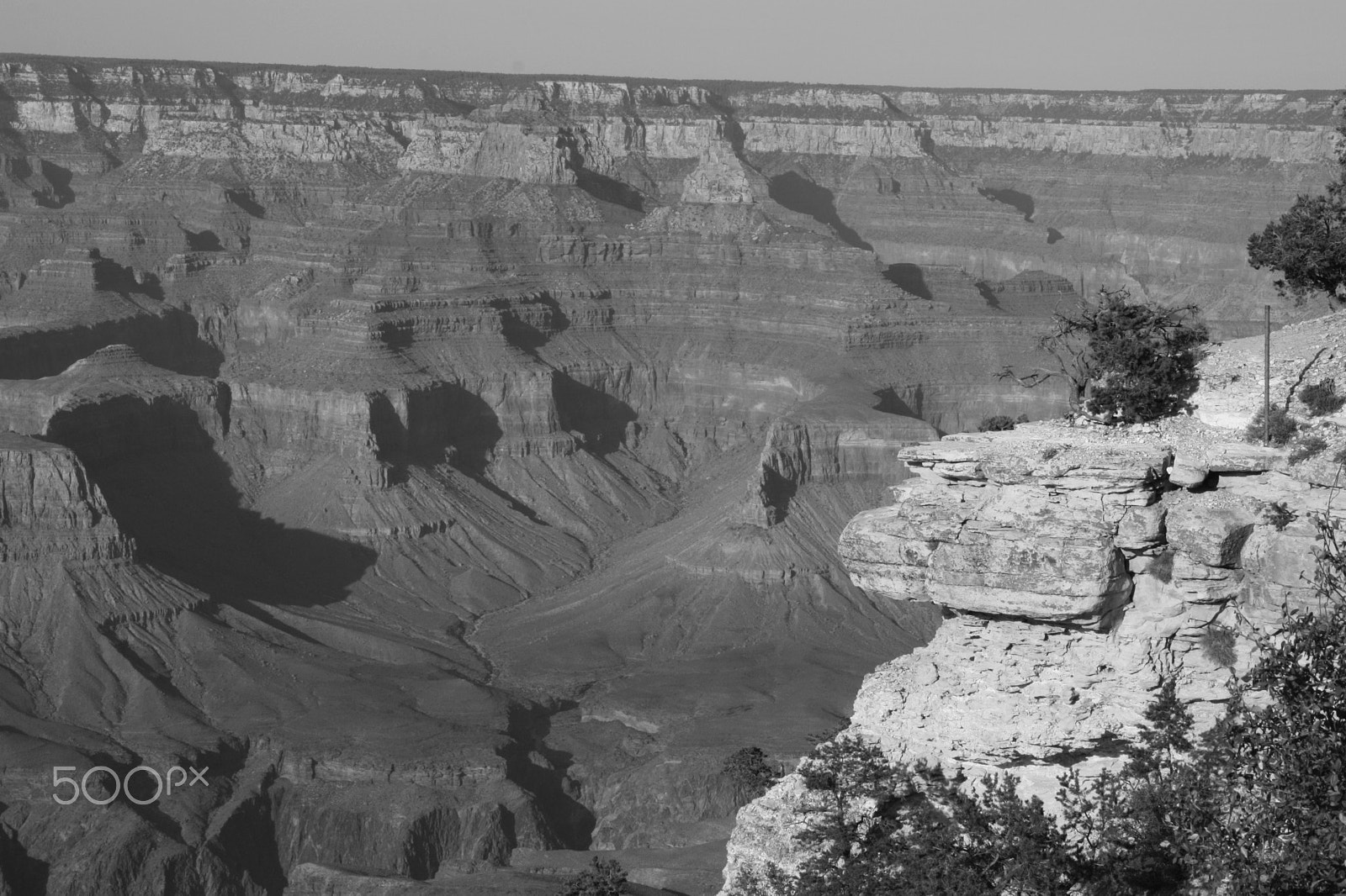 Canon EOS 450D (EOS Rebel XSi / EOS Kiss X2) + Tamron AF 18-270mm F3.5-6.3 Di II VC LD Aspherical (IF) MACRO sample photo. Grand canyon black and white photography