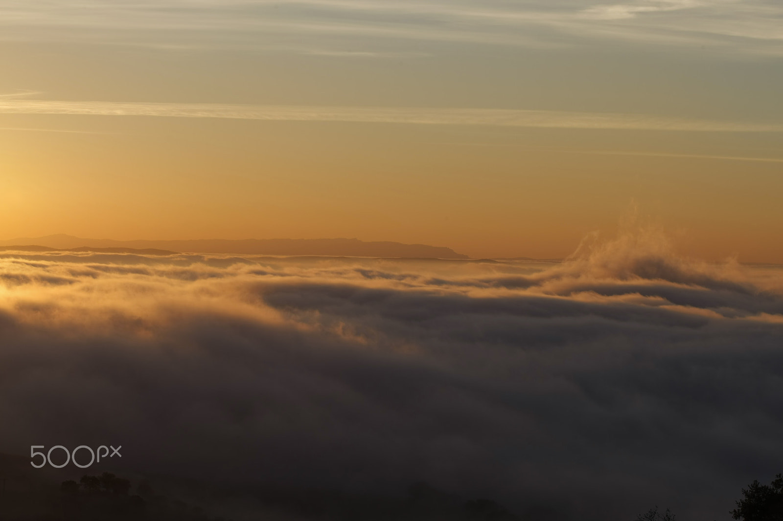 Canon EOS-1D Mark III sample photo. Sunrise algeria photography
