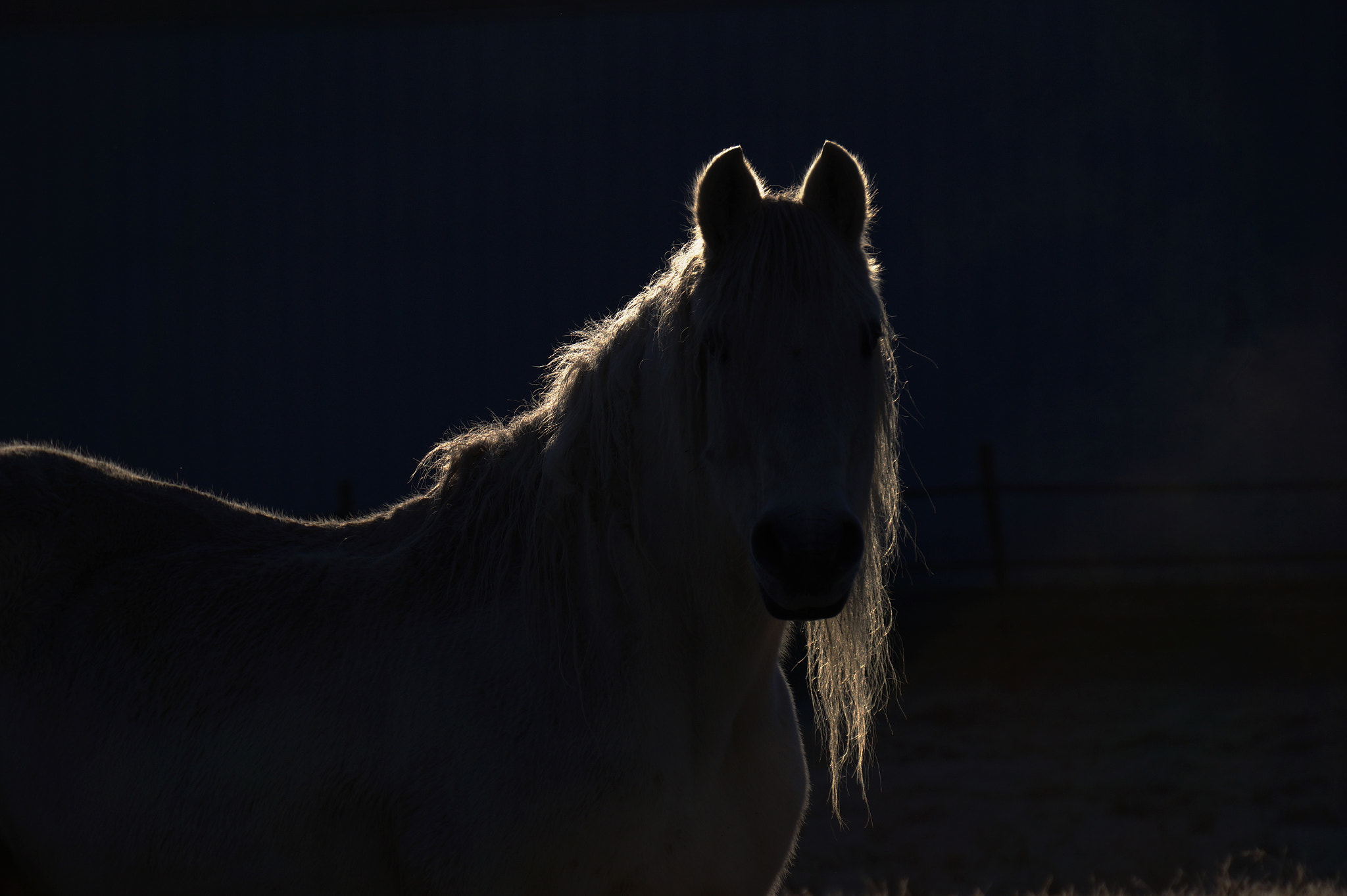 Sony E 55-210mm F4.5-6.3 OSS sample photo. Spirit photography
