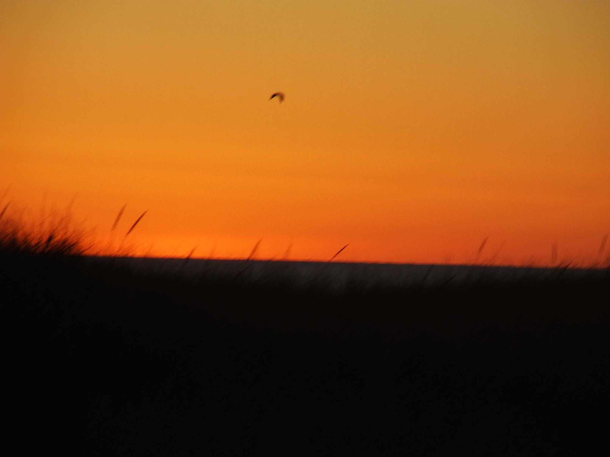 Fujifilm FinePix S5200 sample photo. End sunset photography