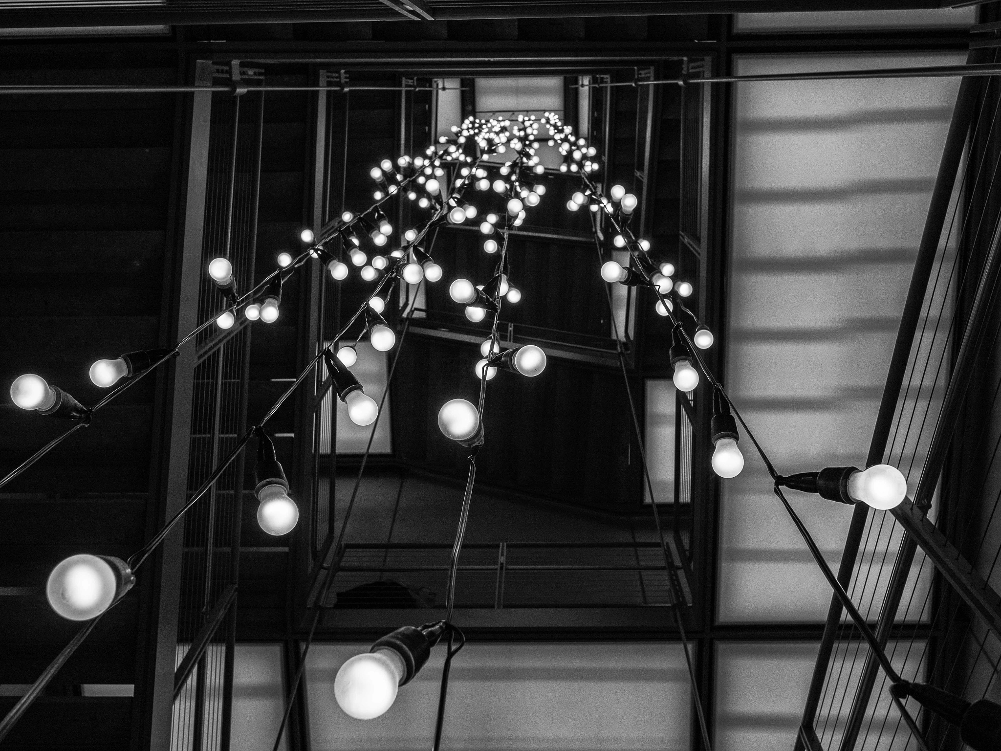 Panasonic Lumix DMC-GX8 + LUMIX G 20/F1.7 II sample photo. Bulbs photography