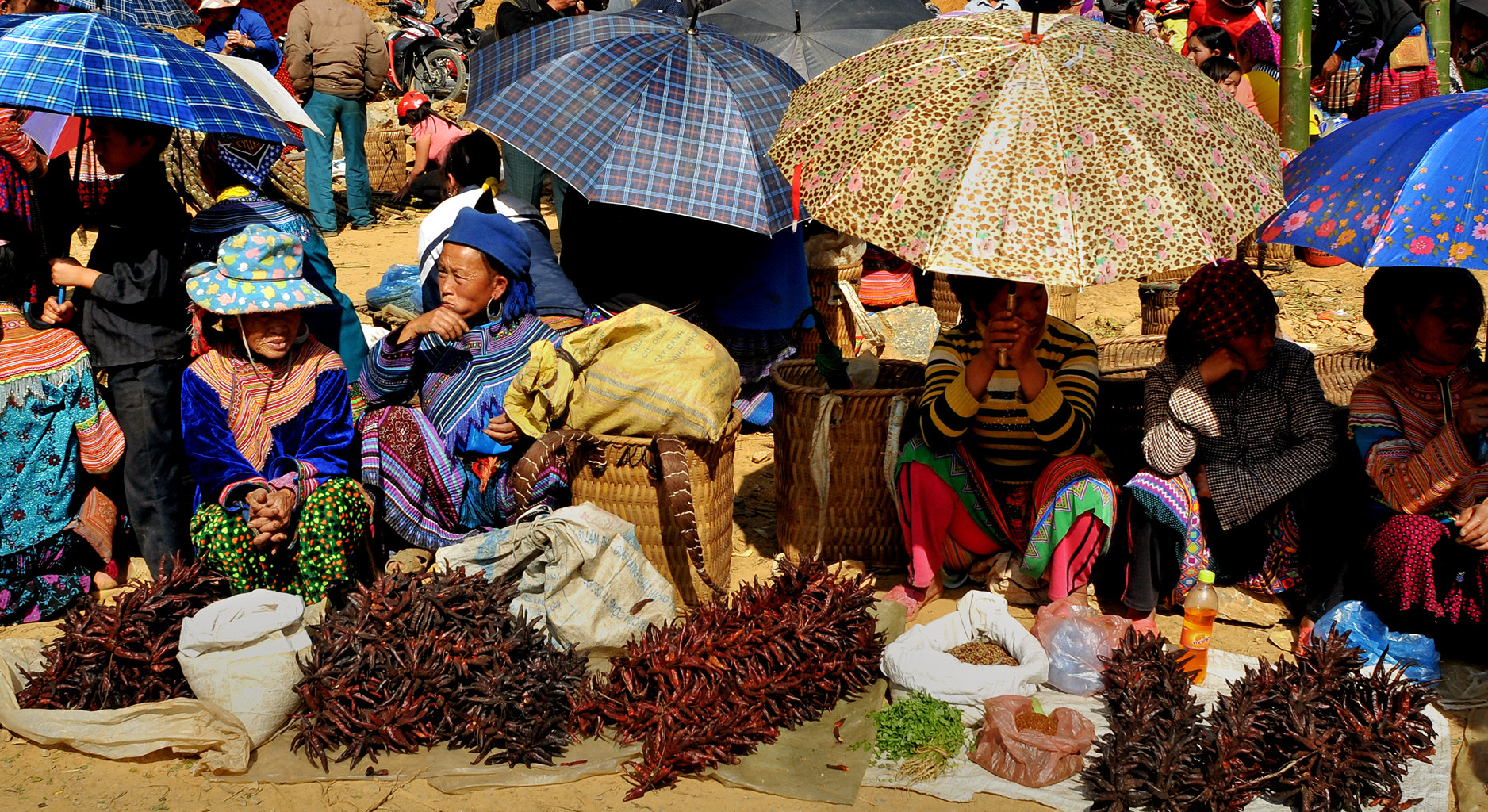 Nikon D300 + Nikon AF Nikkor 20mm F2.8D sample photo. ChỢ phiÊn vÙng cao photography