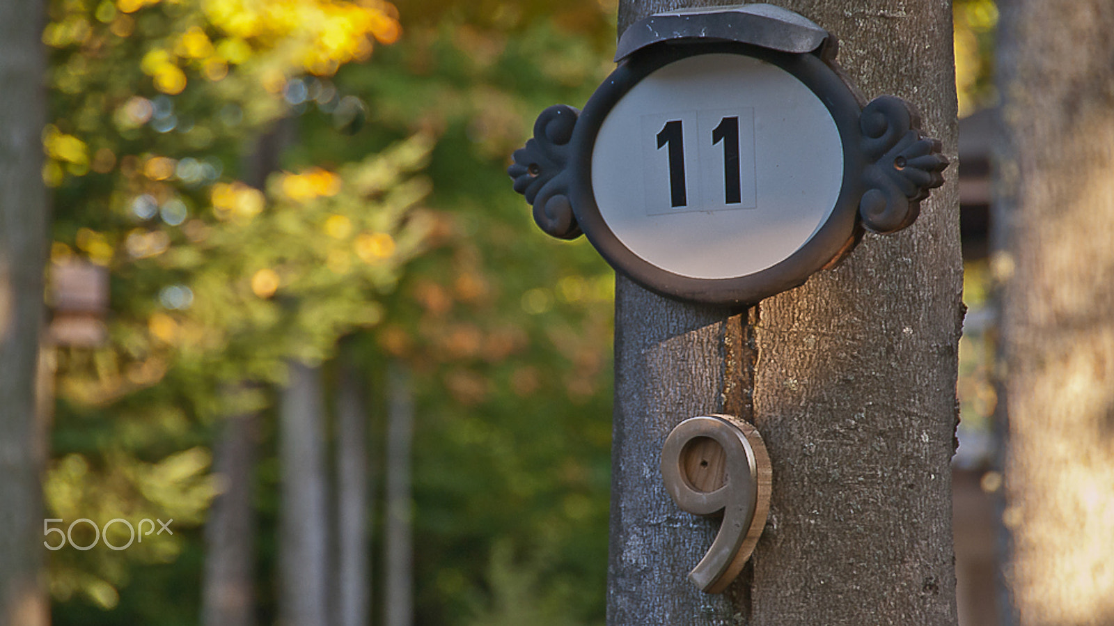 Sony Alpha DSLR-A330 sample photo. 911 photography
