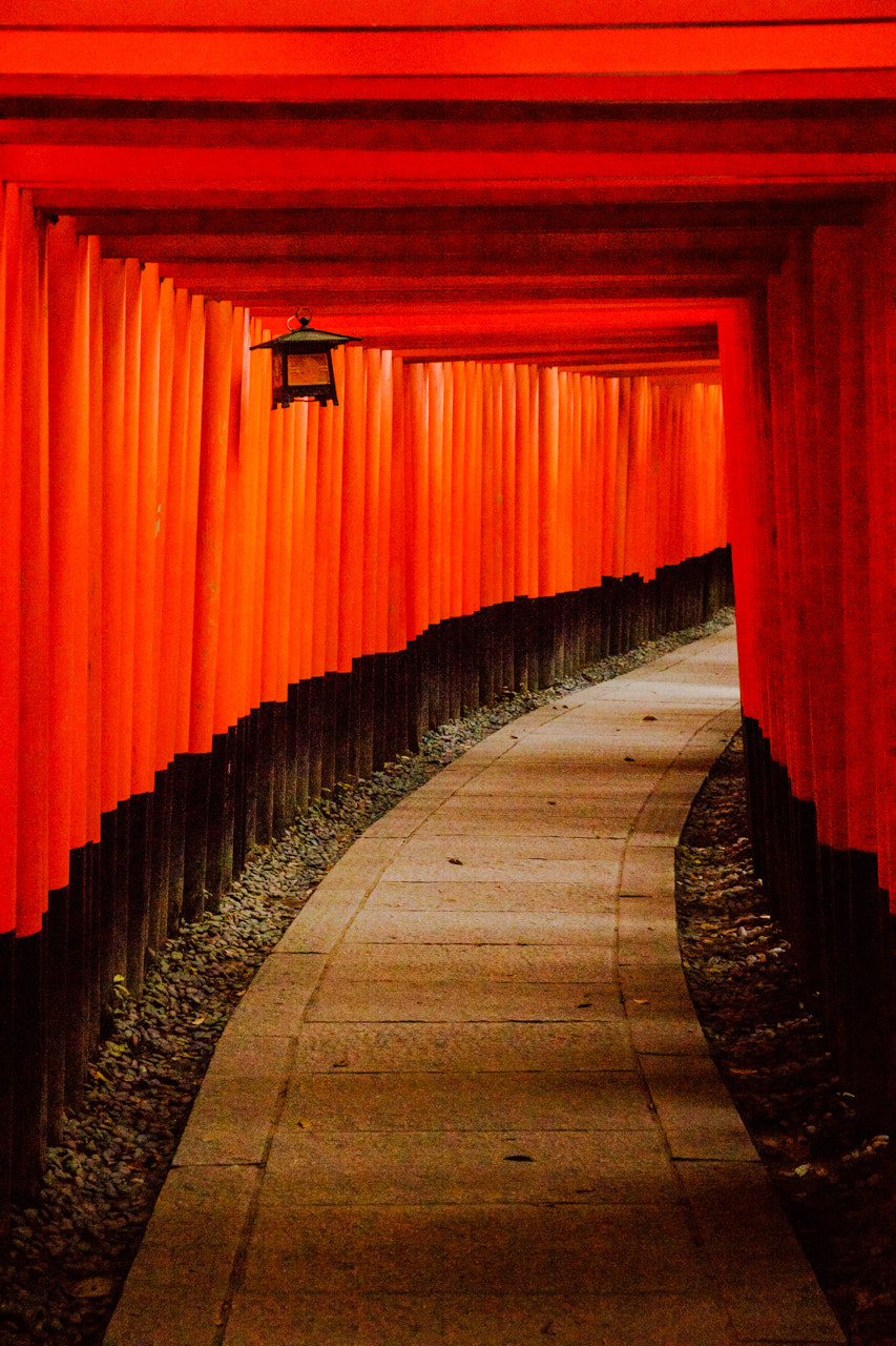 Sony a7 + Tamron SP 24-70mm F2.8 Di VC USD sample photo. Fushimi inari, kyoto, japan photography