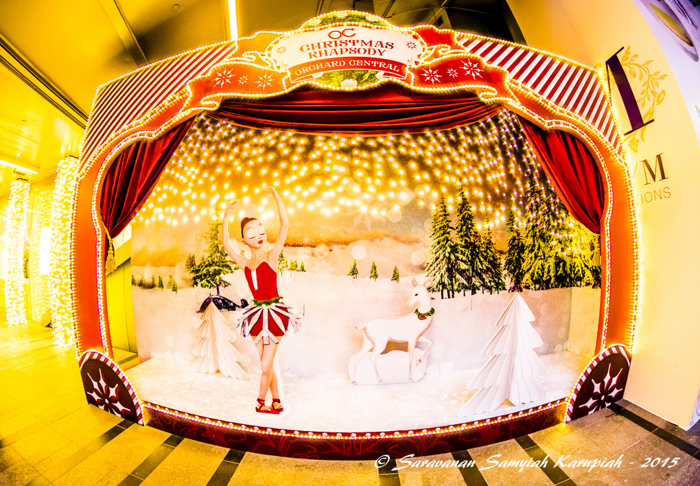 Nikon D3300 + Samyang 8mm F3.5 Aspherical IF MC Fisheye sample photo. Christmas rhapsody photography