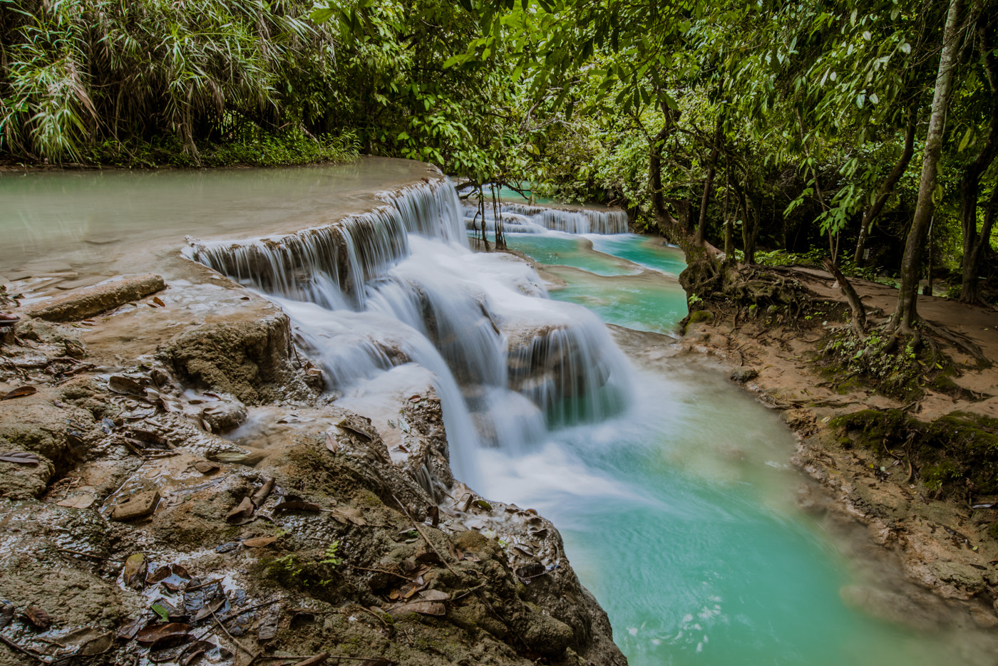 Stream of Falls