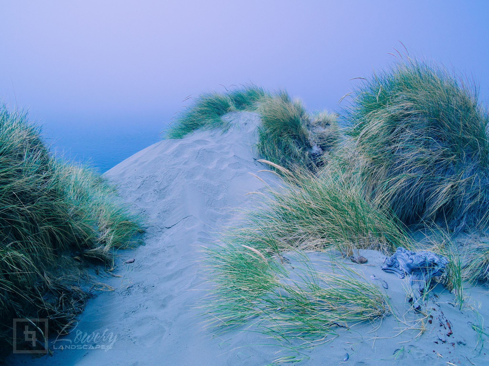 Olympus OM-D E-M5 sample photo. Coastal moods photography