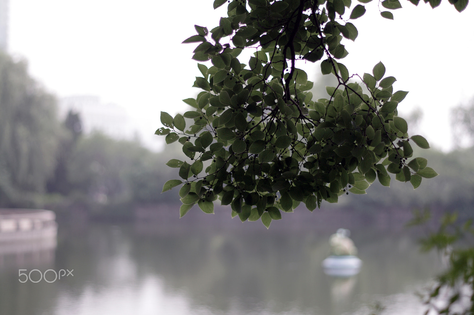 Pentax K-7 + Pentax smc DA 50mm F1.8 sample photo. Lake photography