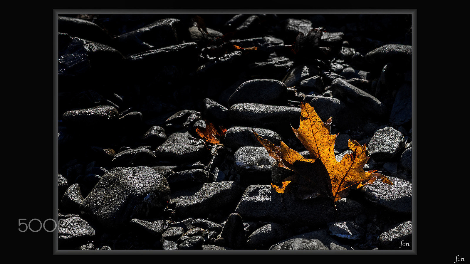 AF Zoom-Nikkor 75-300mm f/4.5-5.6 sample photo. Winter leaf photography