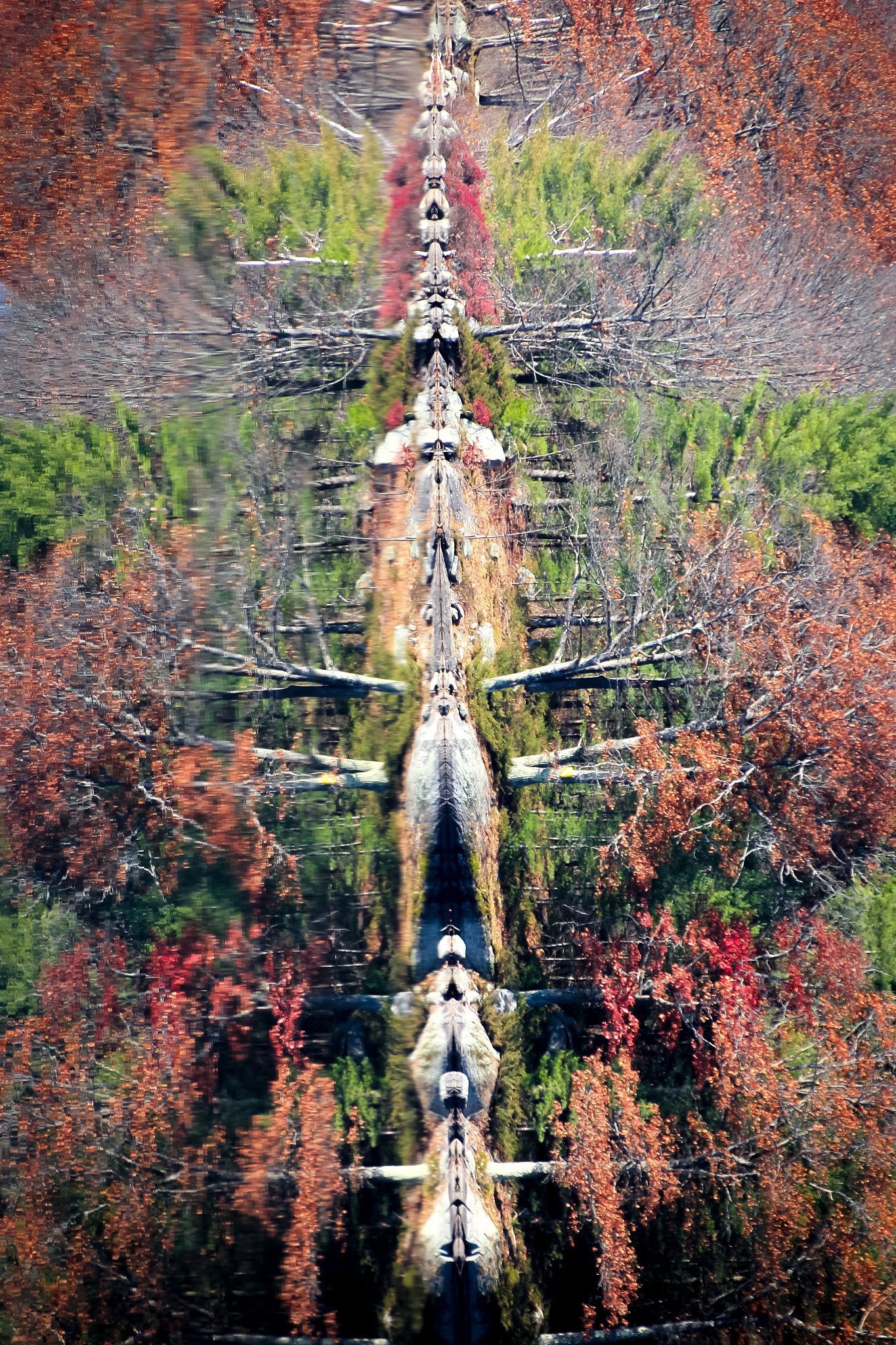 Sigma 18-250mm F3.5-6.3 DC OS HSM sample photo. Totem photography
