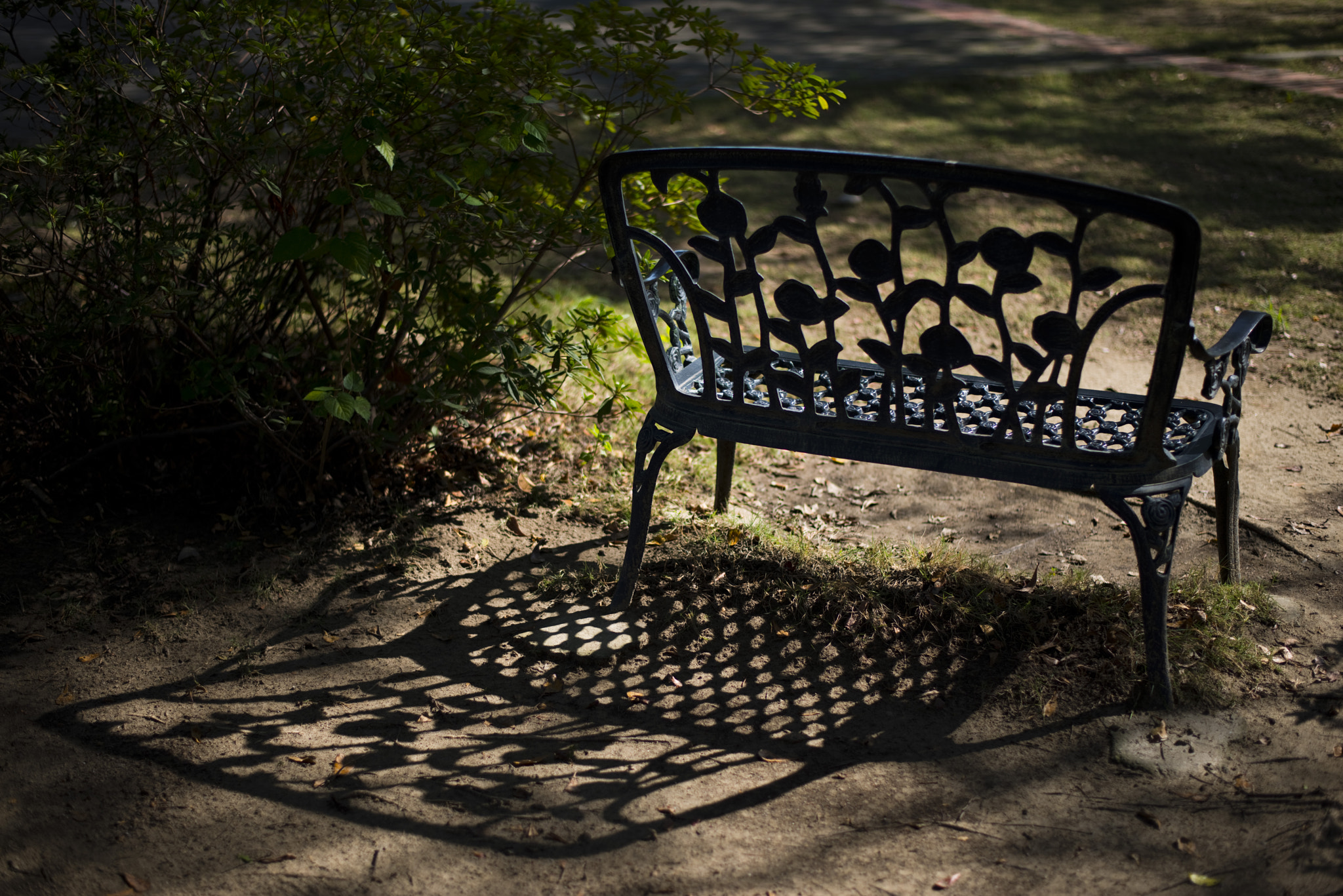 Nikon D800 + Sigma 24-60mm F2.8 EX DG sample photo. Take a walk in this beautiful campus photography