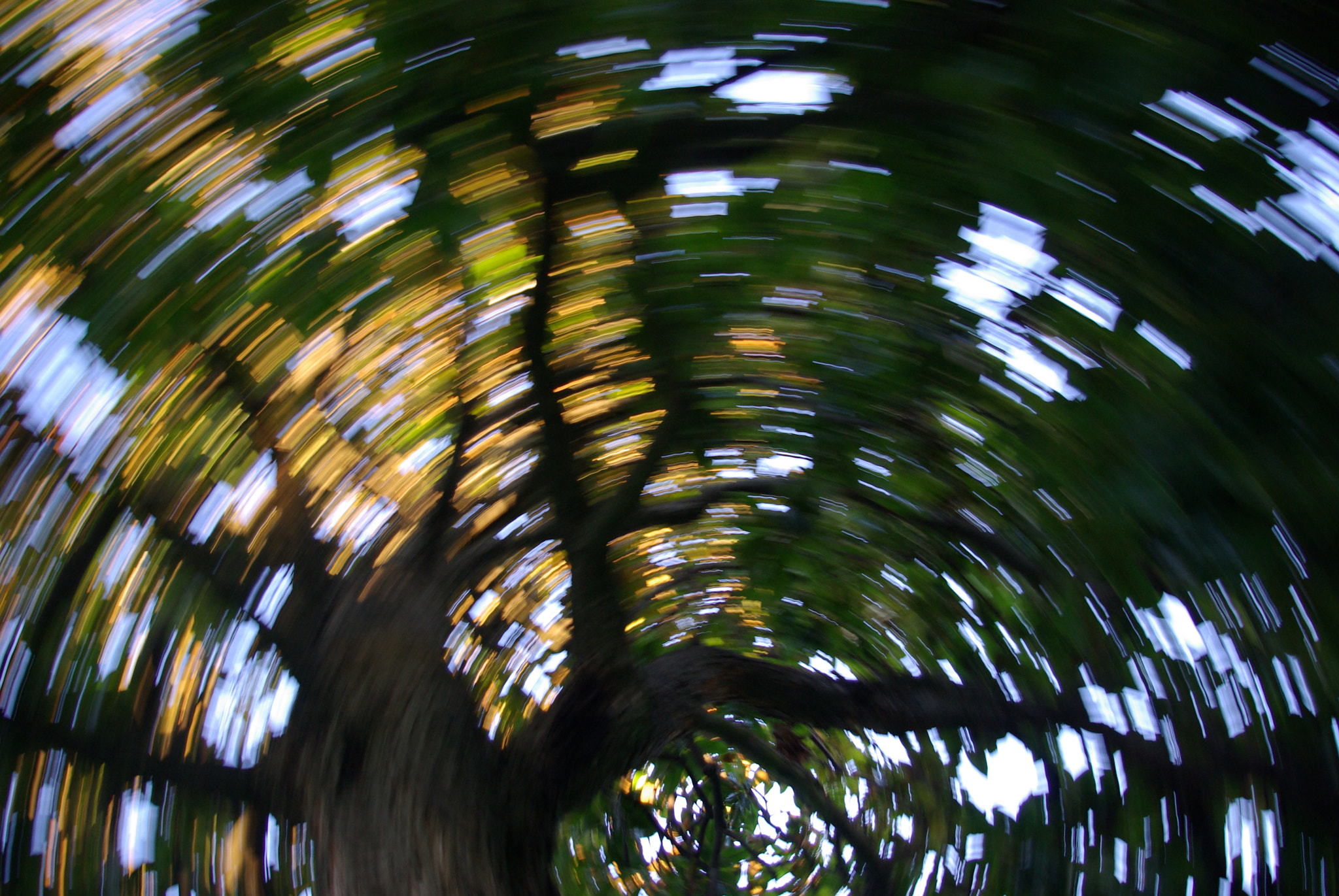Samsung GX-10 sample photo. Caos photography