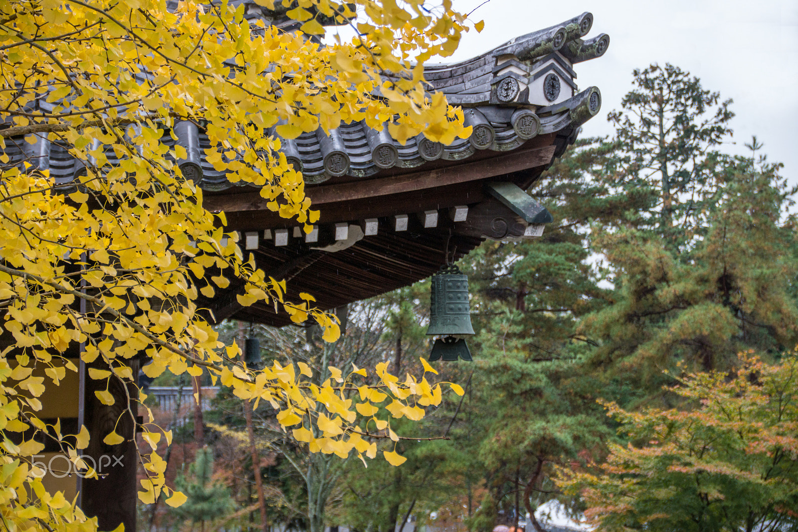 Sony SLT-A65 (SLT-A65V) + Tamron AF 28-105mm F4-5.6 [IF] sample photo. Autumn leaves photography