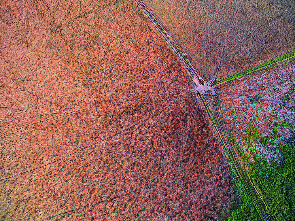 Scarcity by Kirk Hille on 500px.com