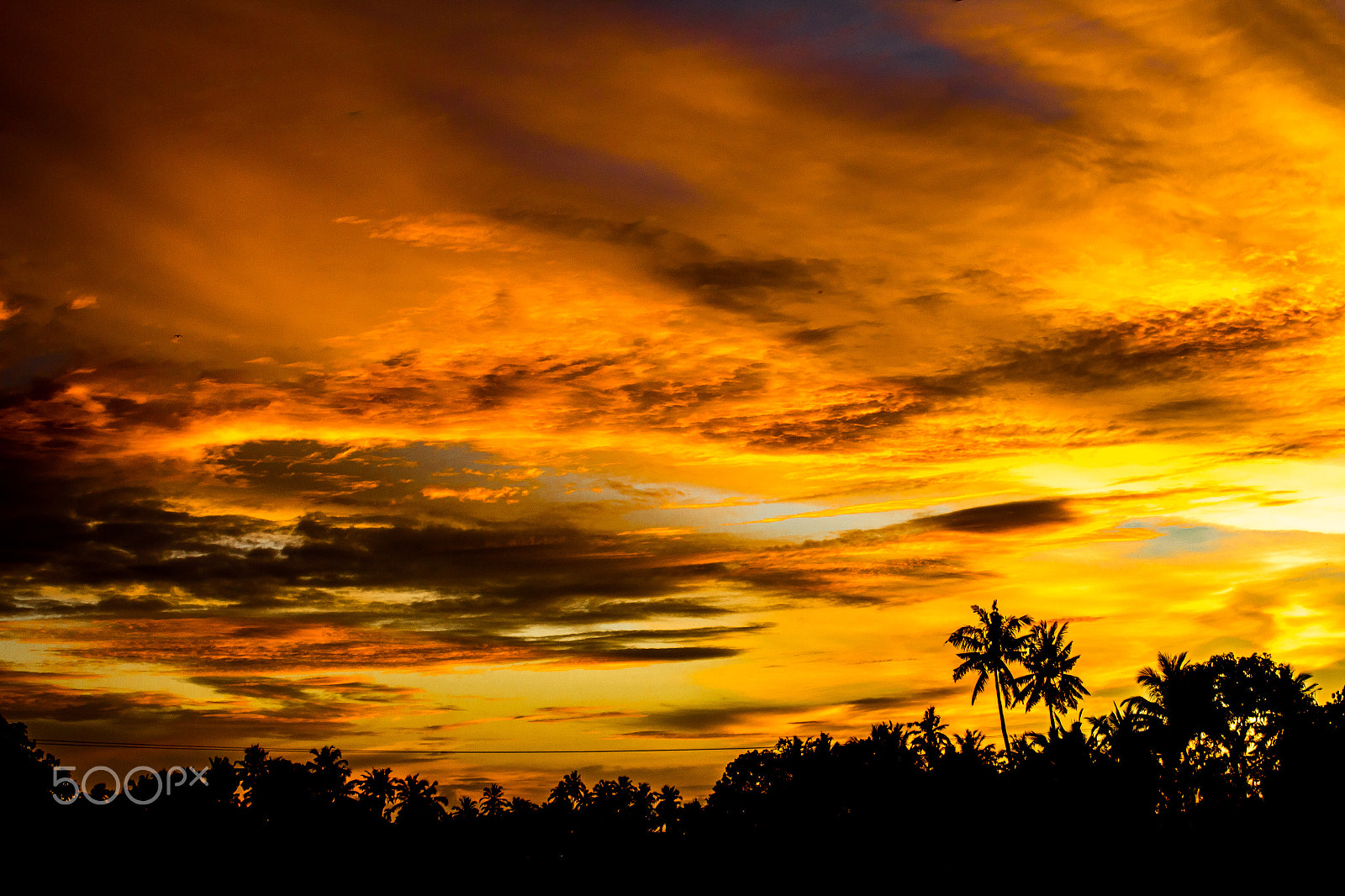 Canon EF 35-135mm f/4-5.6 USM sample photo. Yellow evening.jpg photography