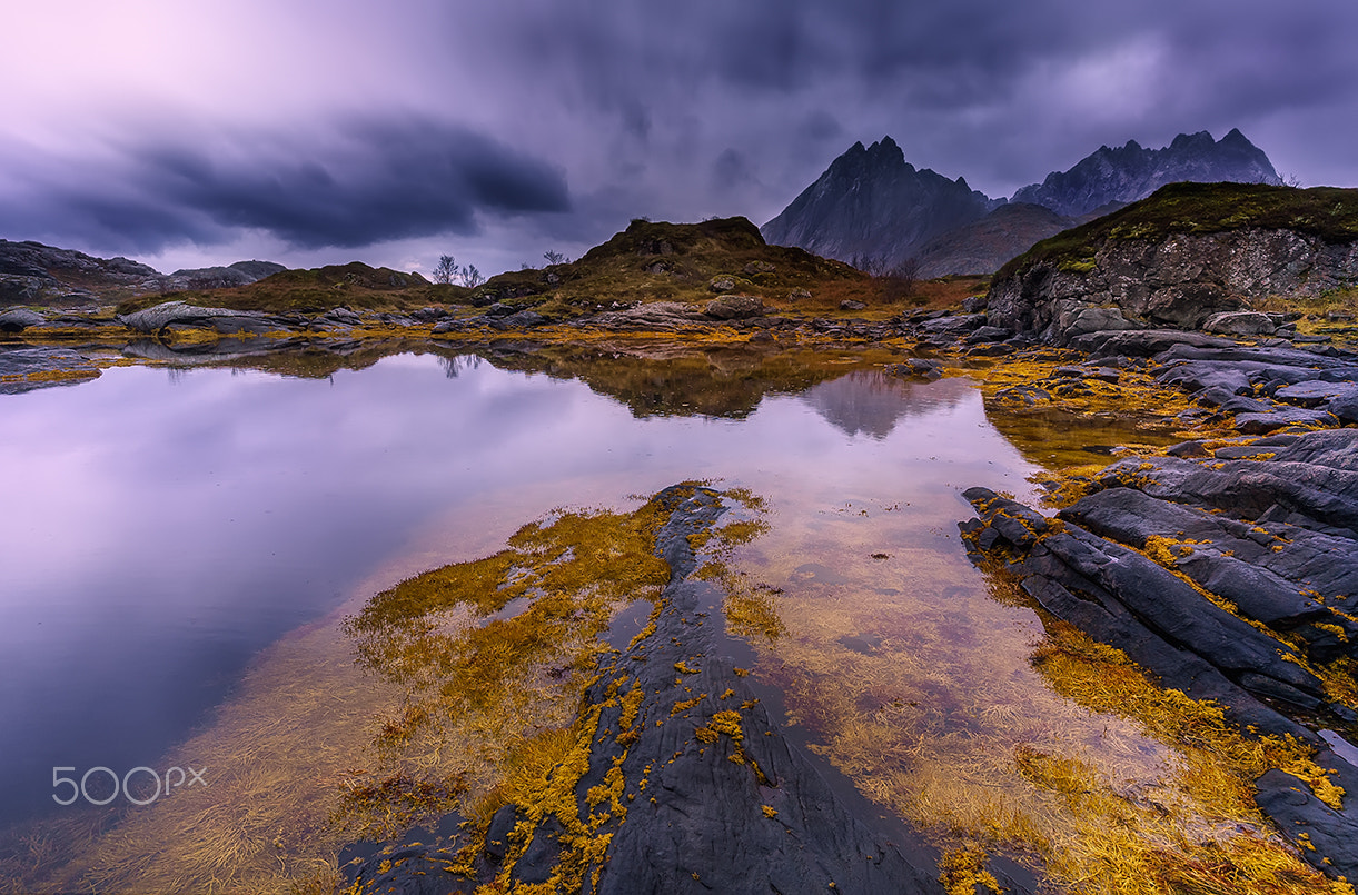 Sony a7R + ZEISS Touit 12mm F2.8 sample photo. Lofoten first light dsc photography