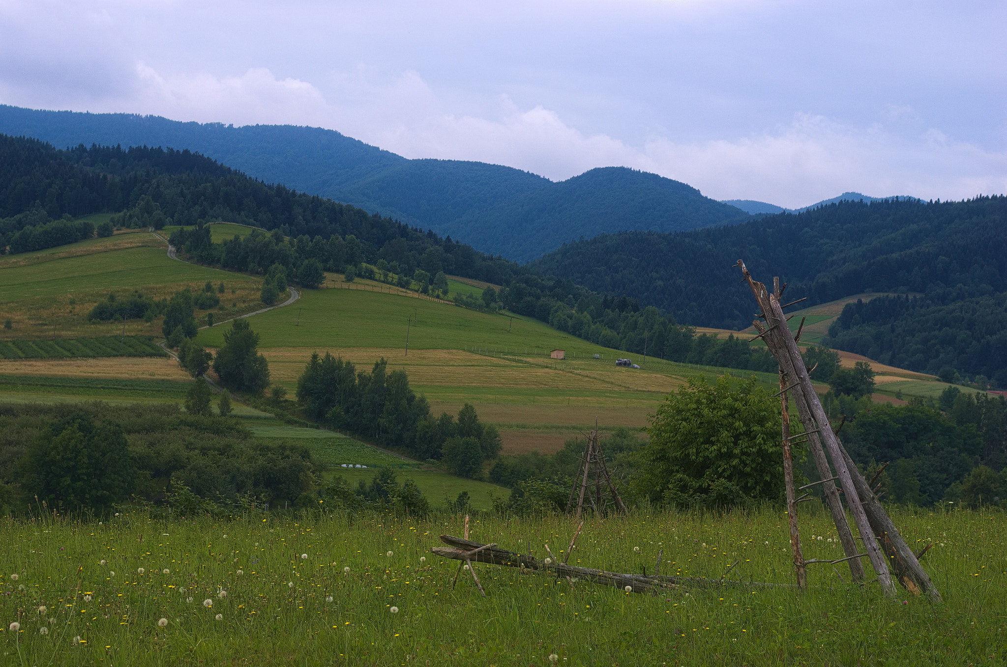 Pentax K-5 + smc PENTAX-FA Macro 50mm F2.8 sample photo. Hills near przysietnica photography
